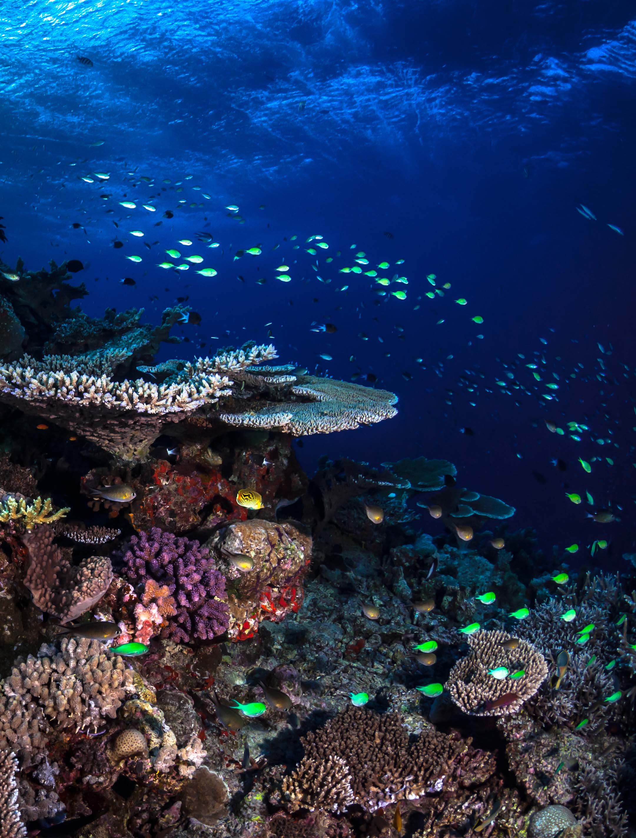 (c)MattCurnock2013-2311 2.jpg