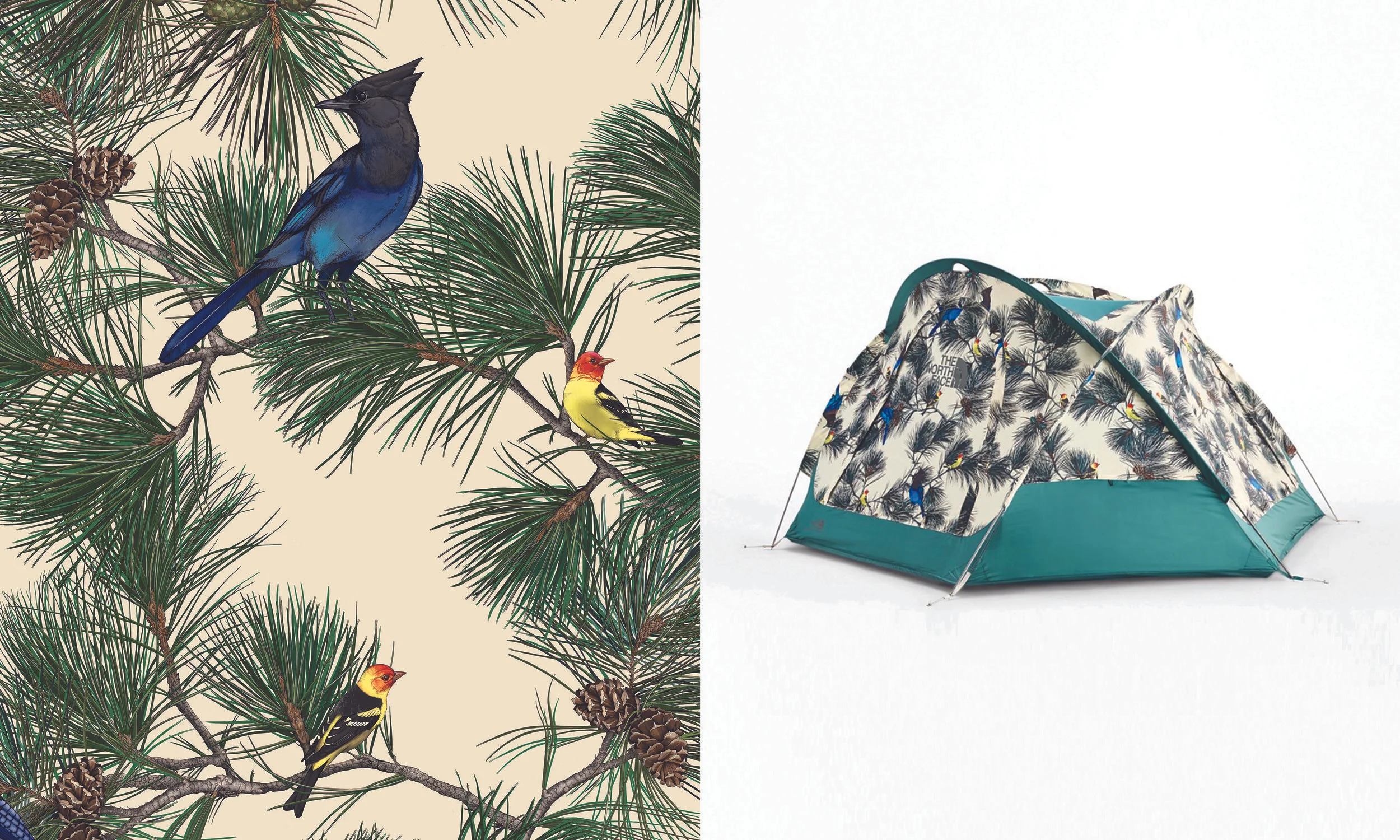 Birding_AD.jpg