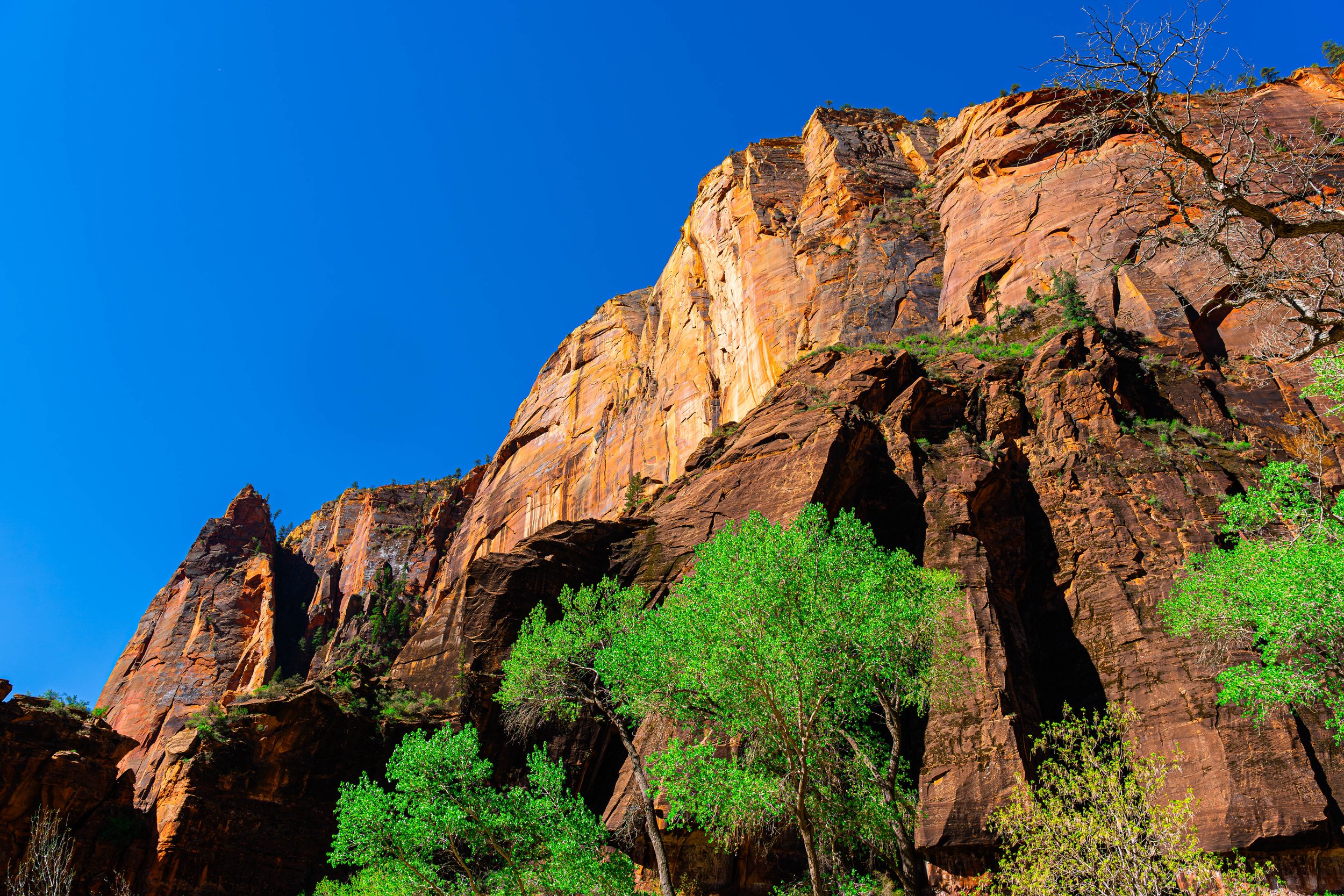 Zion National Park, UT; April 2024