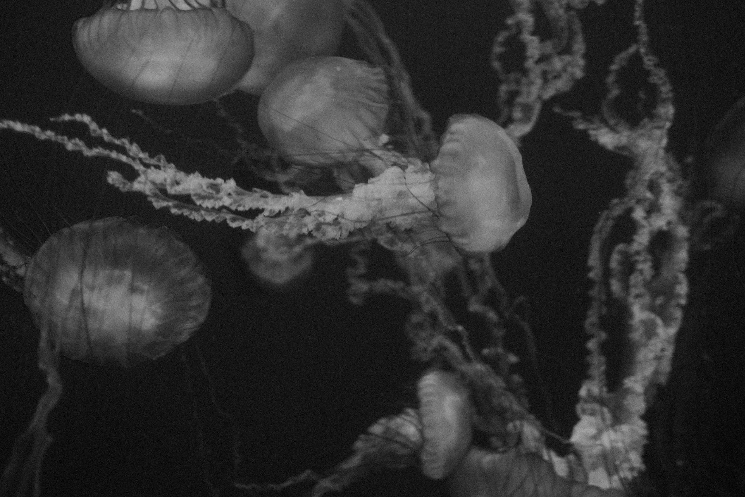 Long Beach, CA; November 2025