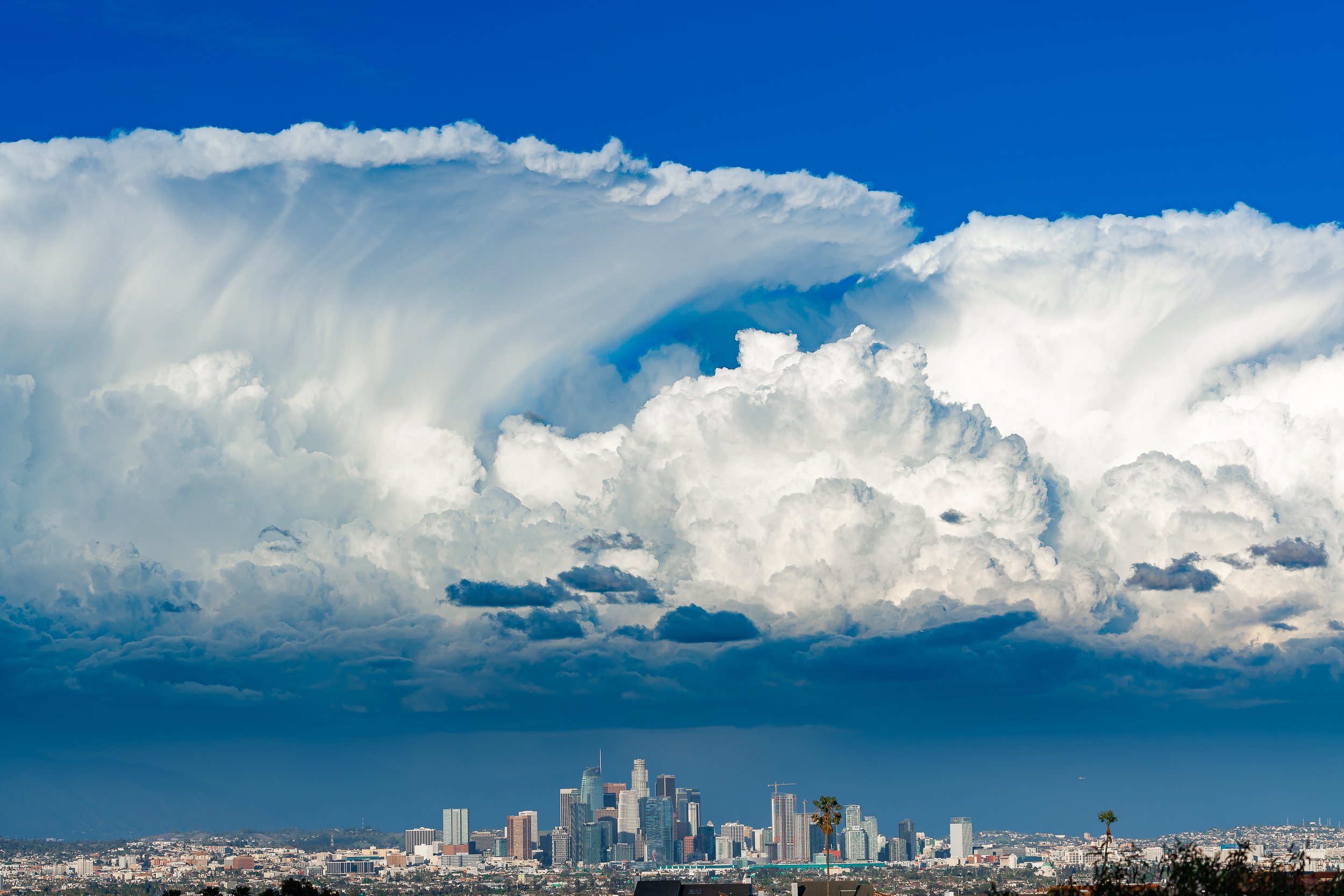 cityscapes + architecture