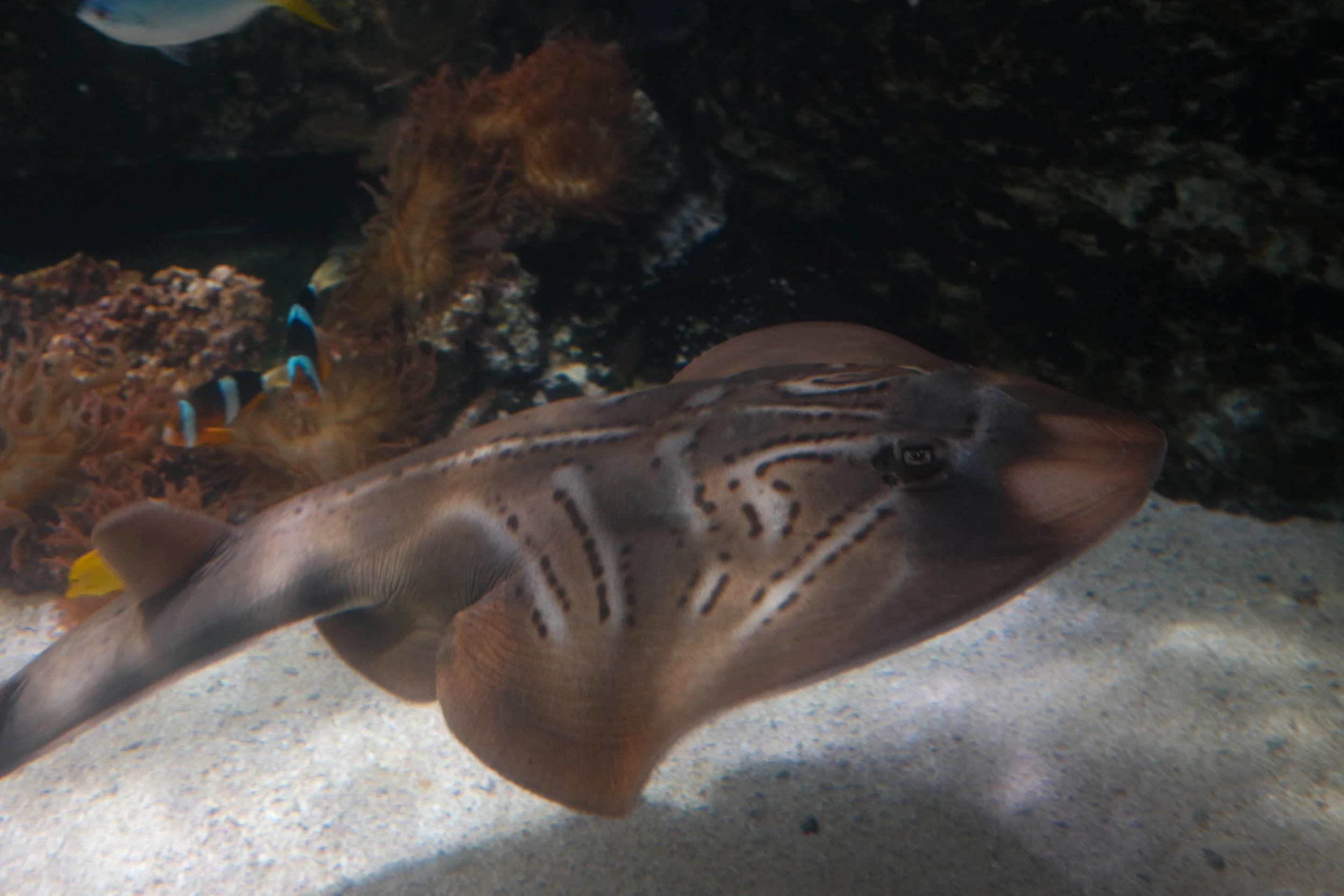 Long Beach, CA; December 2025