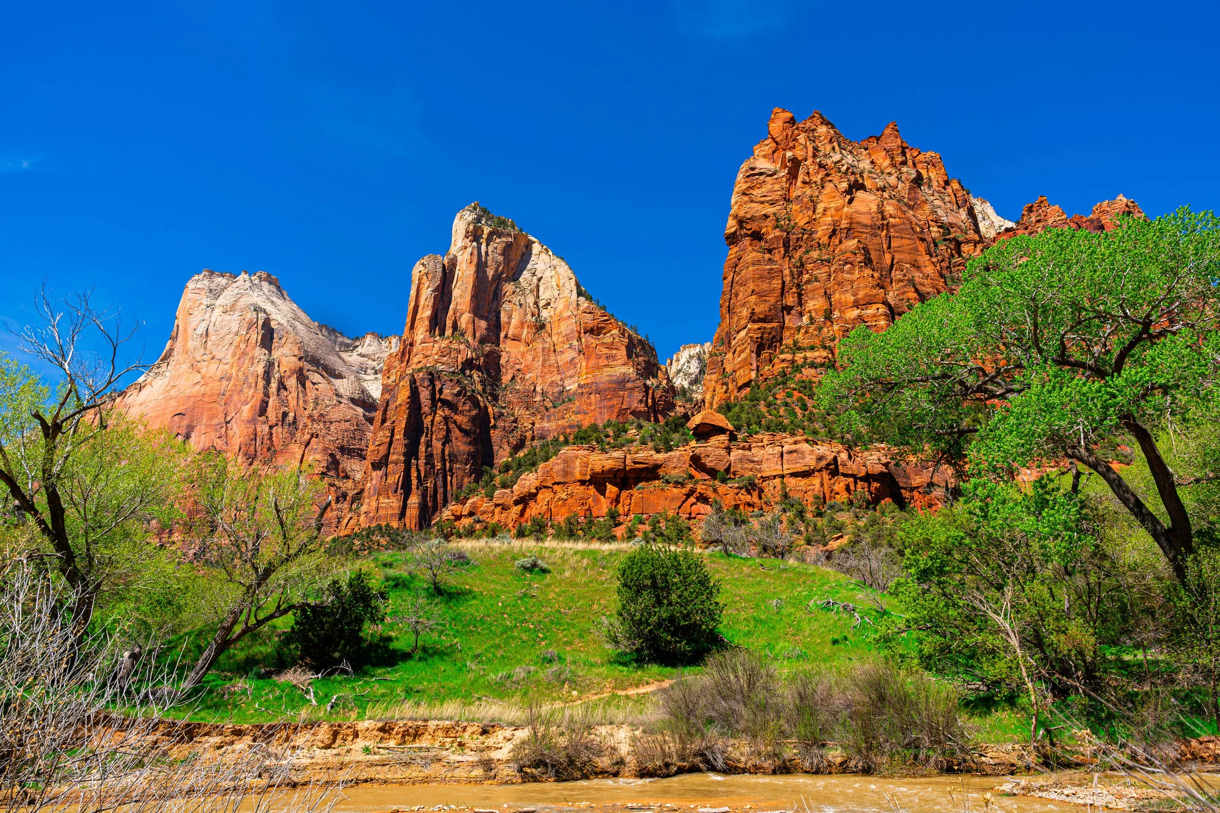 Zion National Park, UT; April 2024