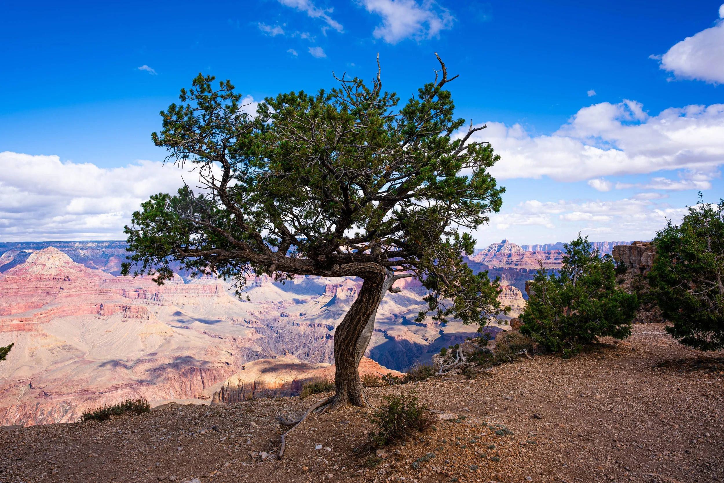 Grand Canyon, AZ; October 2024