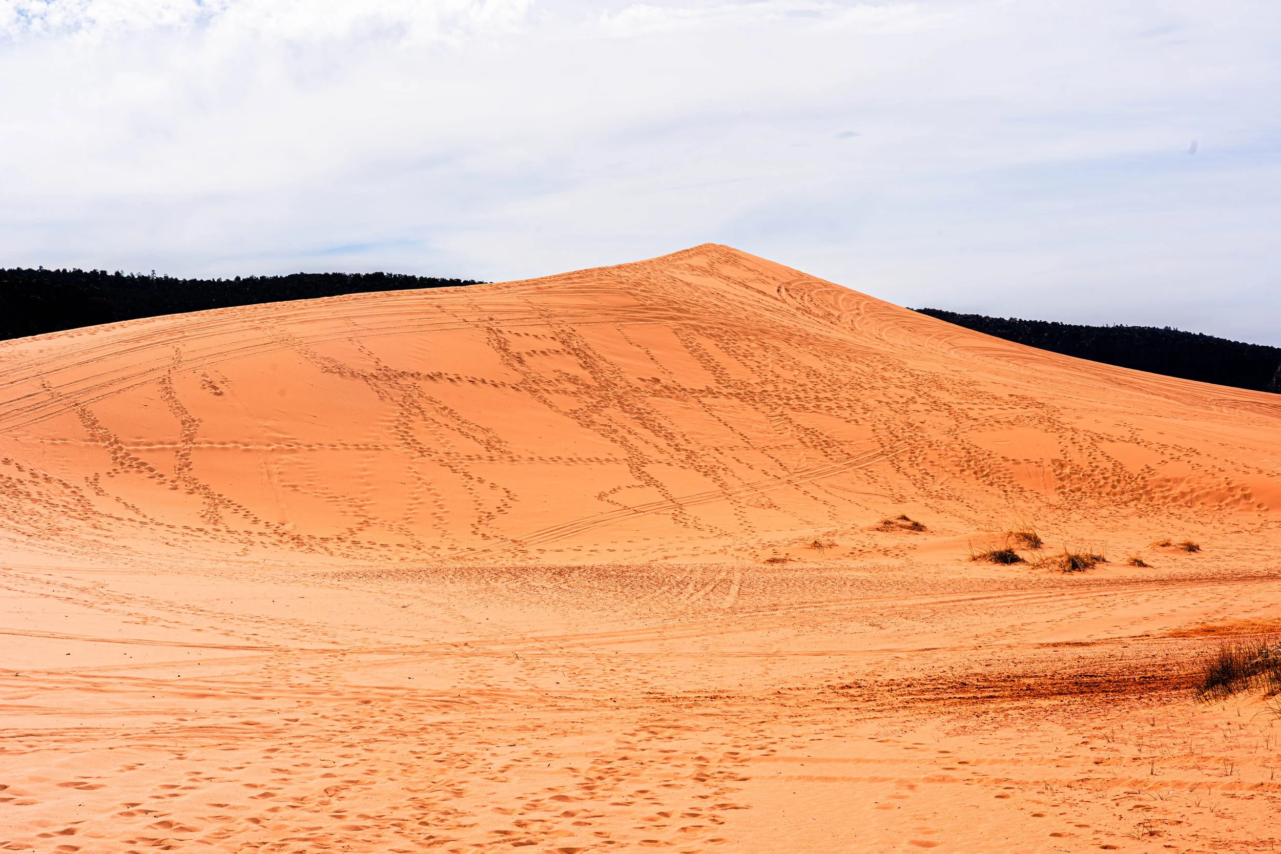 Kanab, UT; April 2024