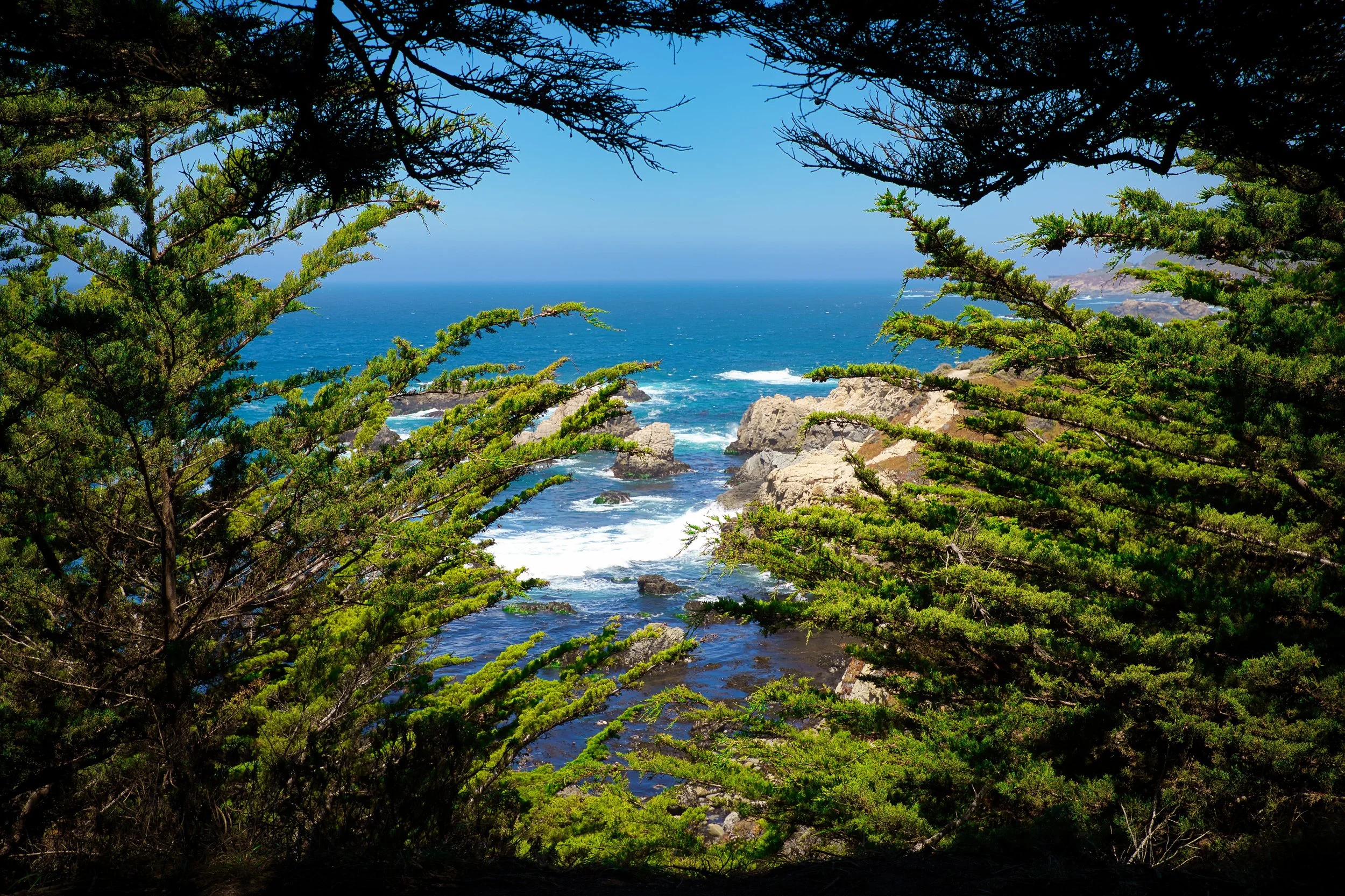 Big Sur, CA; June 2022