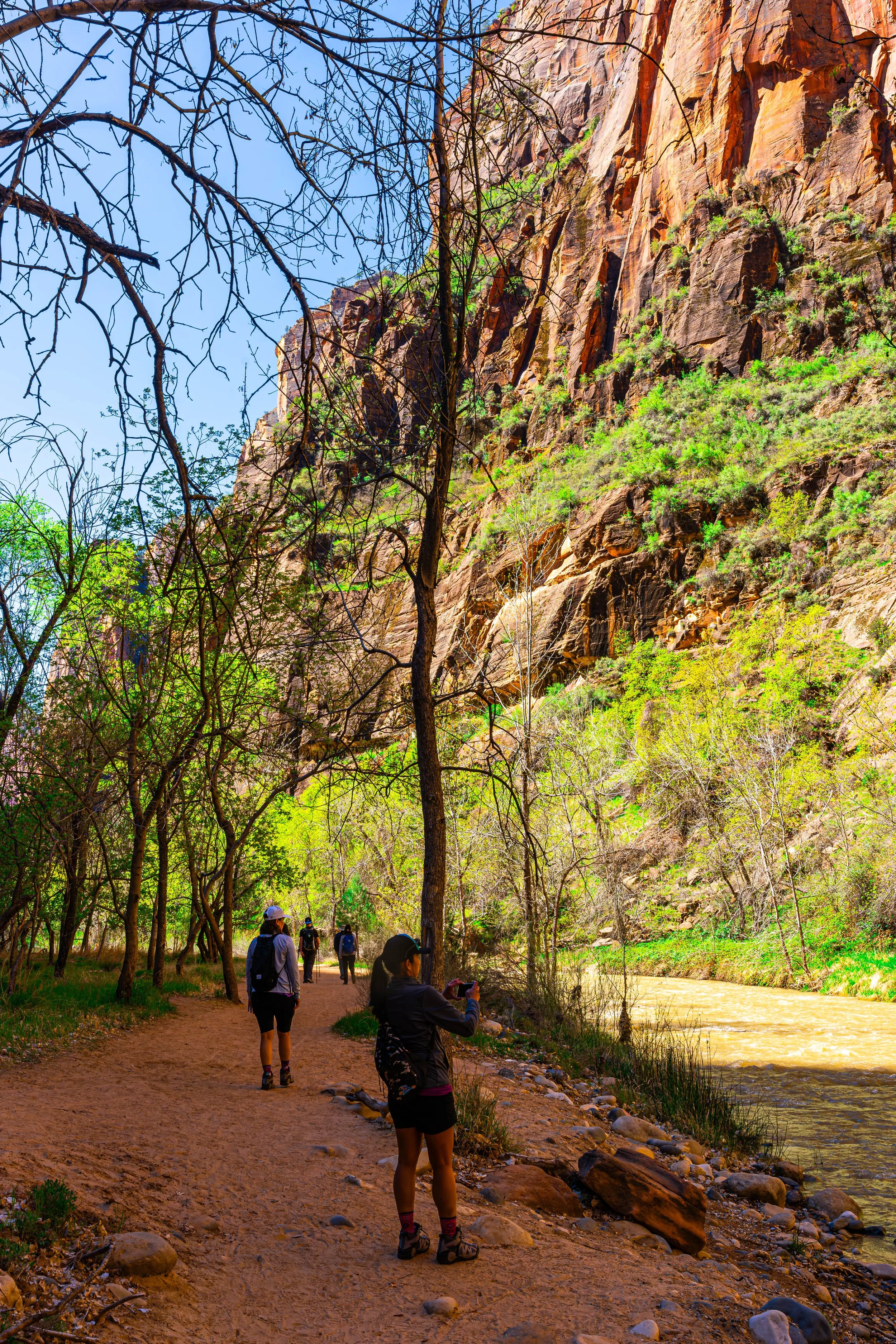 Zion National Park, UT; April 2024