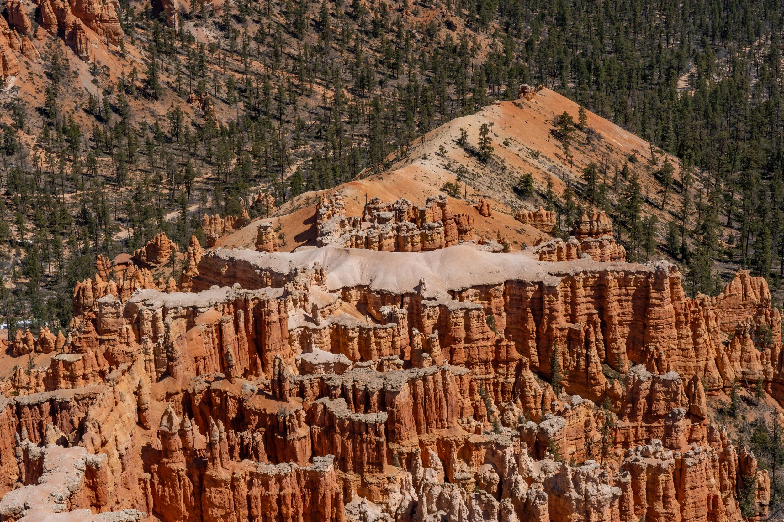 Bryce Canyon, UT; April 2024
