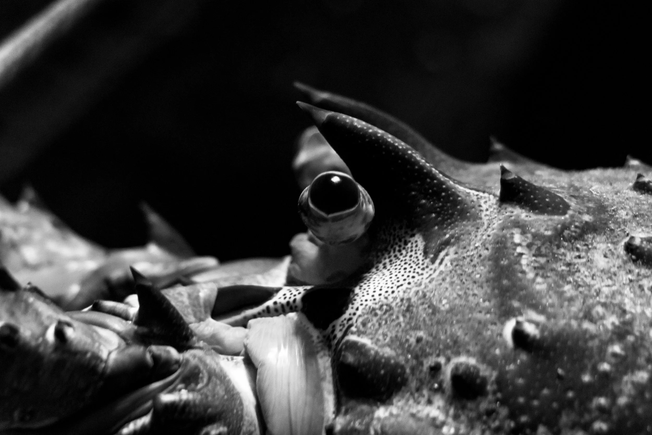 Long Beach, CA; February 2018