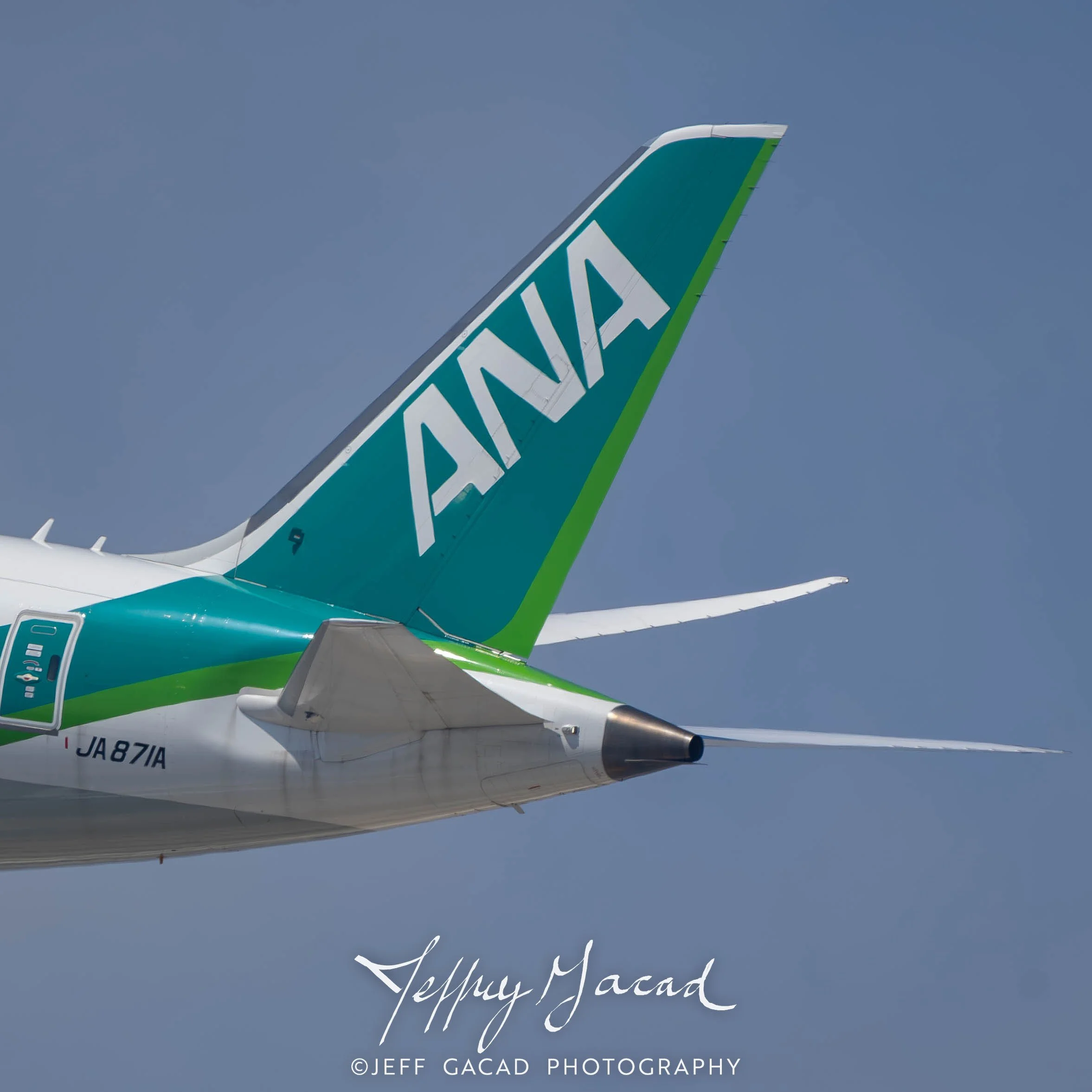 ANA Boeing 787-9