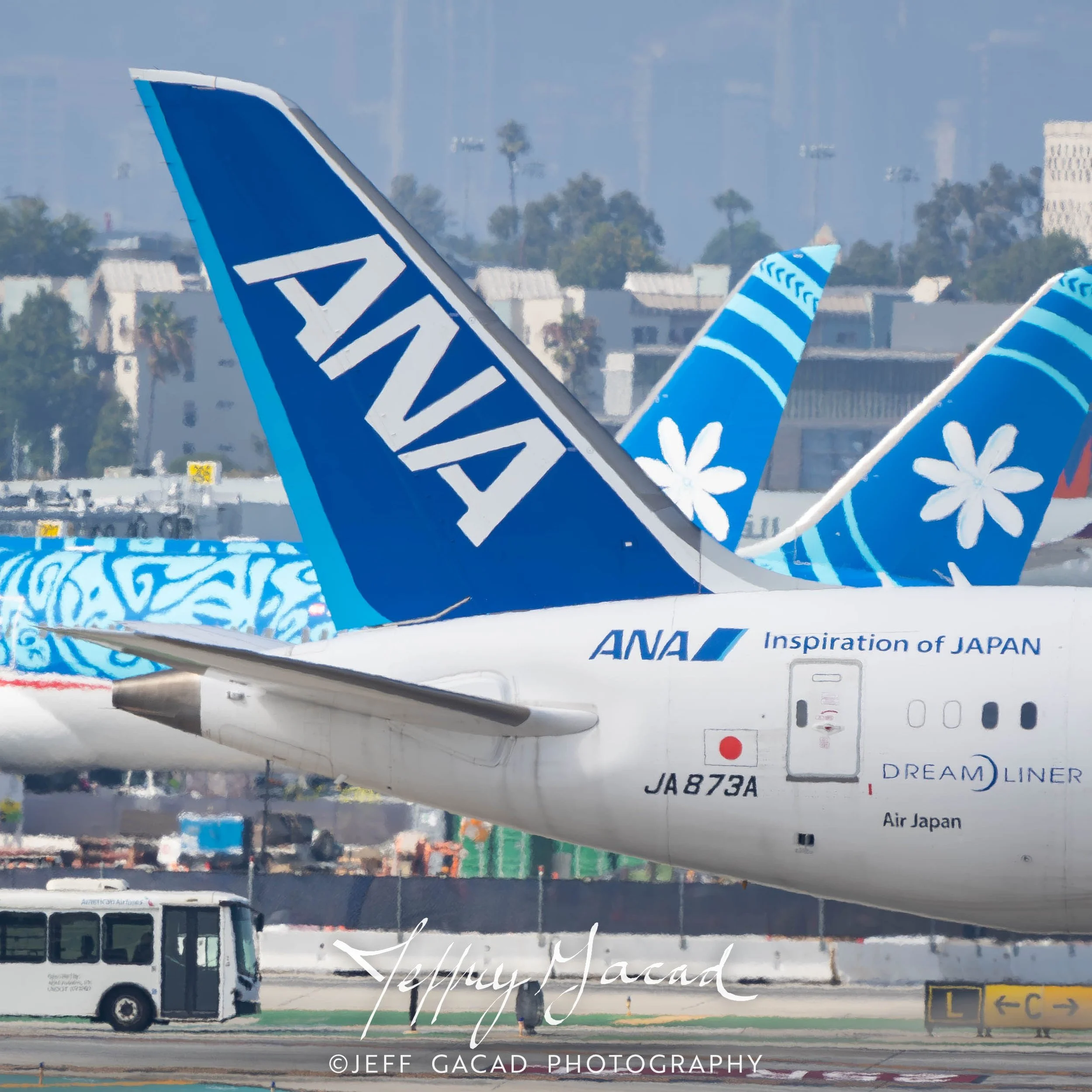 ANA Boeing 787-9
