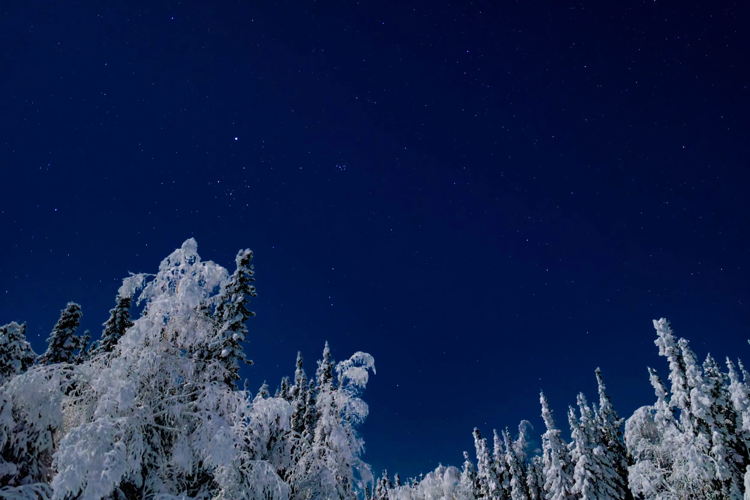 Fairbanks, AK