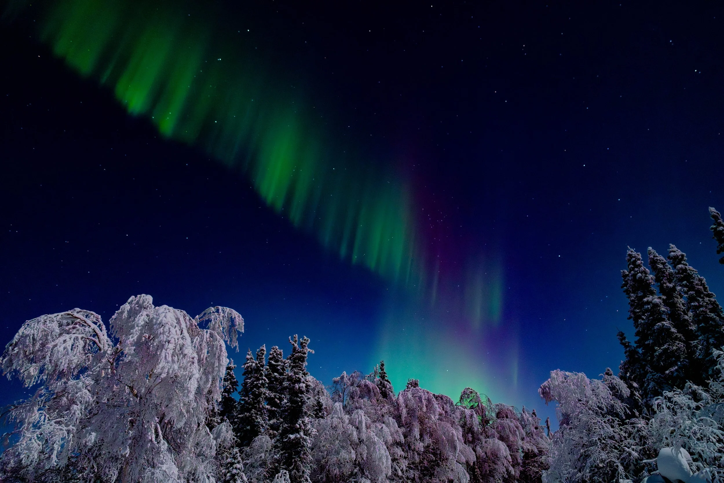 Fairbanks, AK