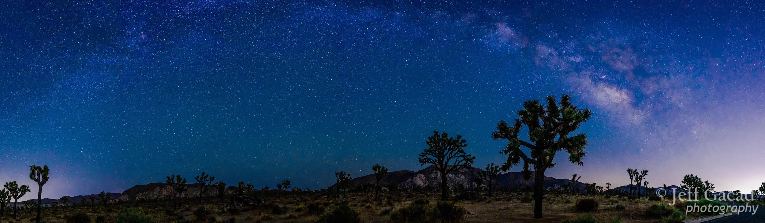 Joshua Tree, CA