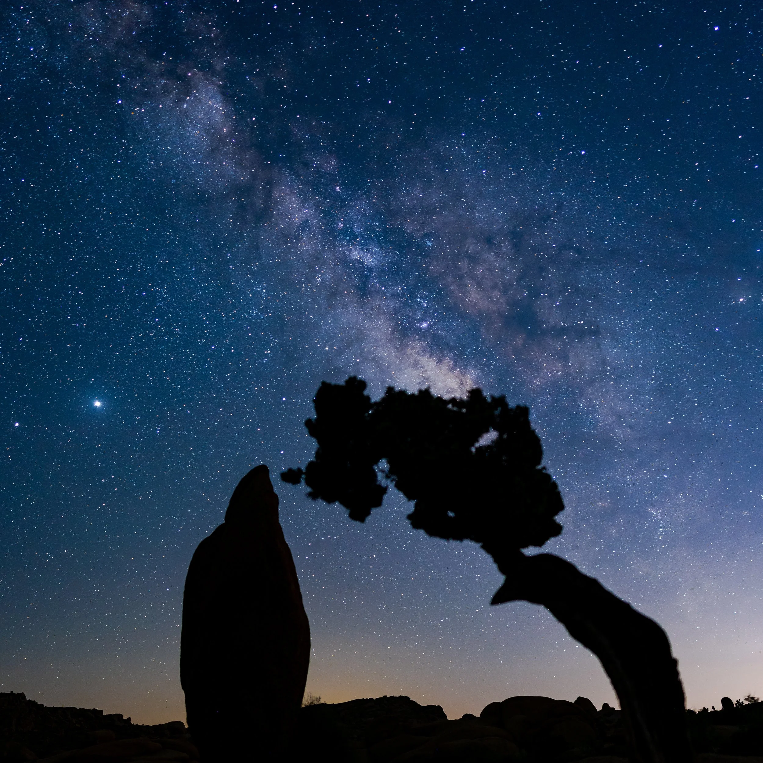 Joshua Tree, CA