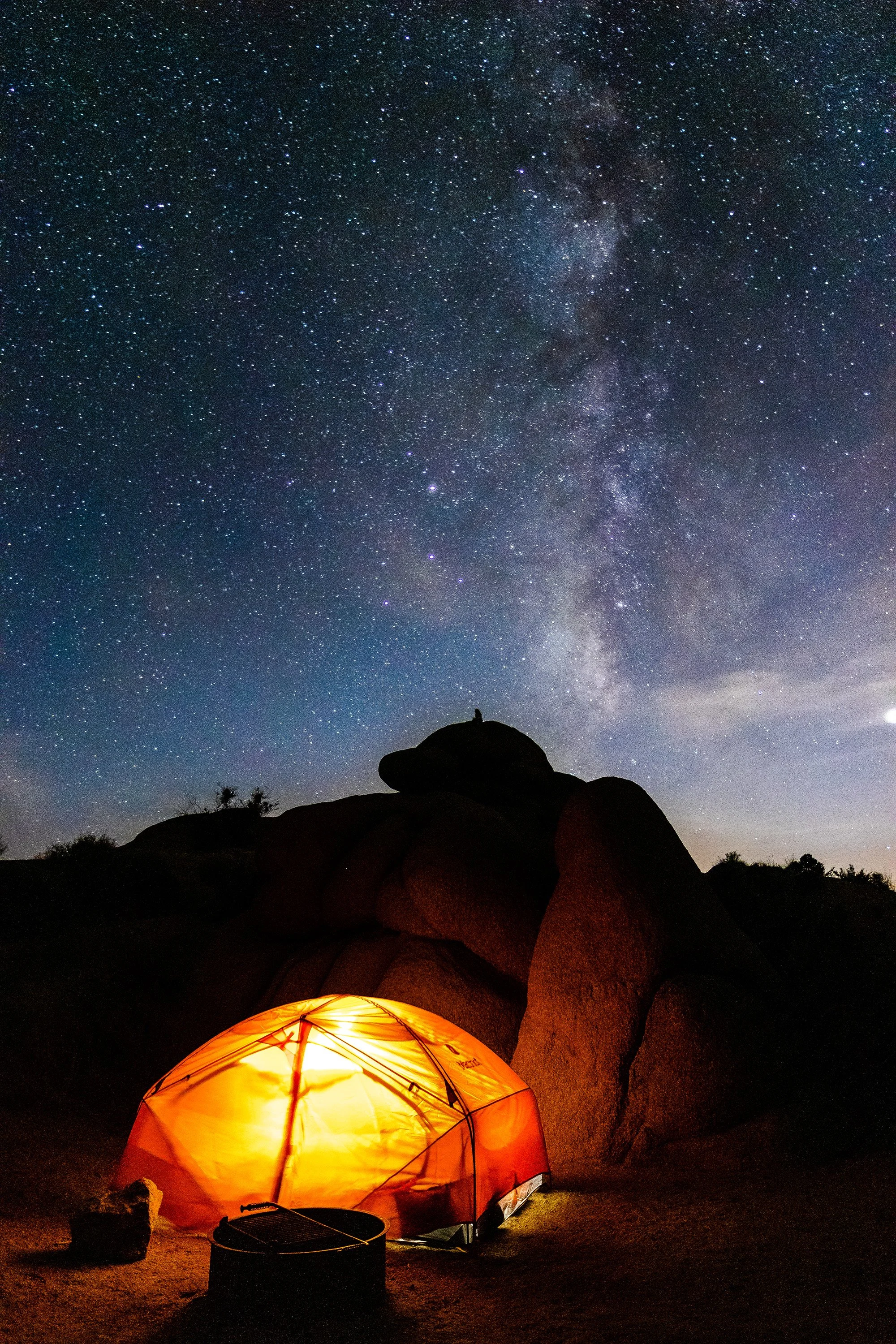 Joshua Tree, CA
