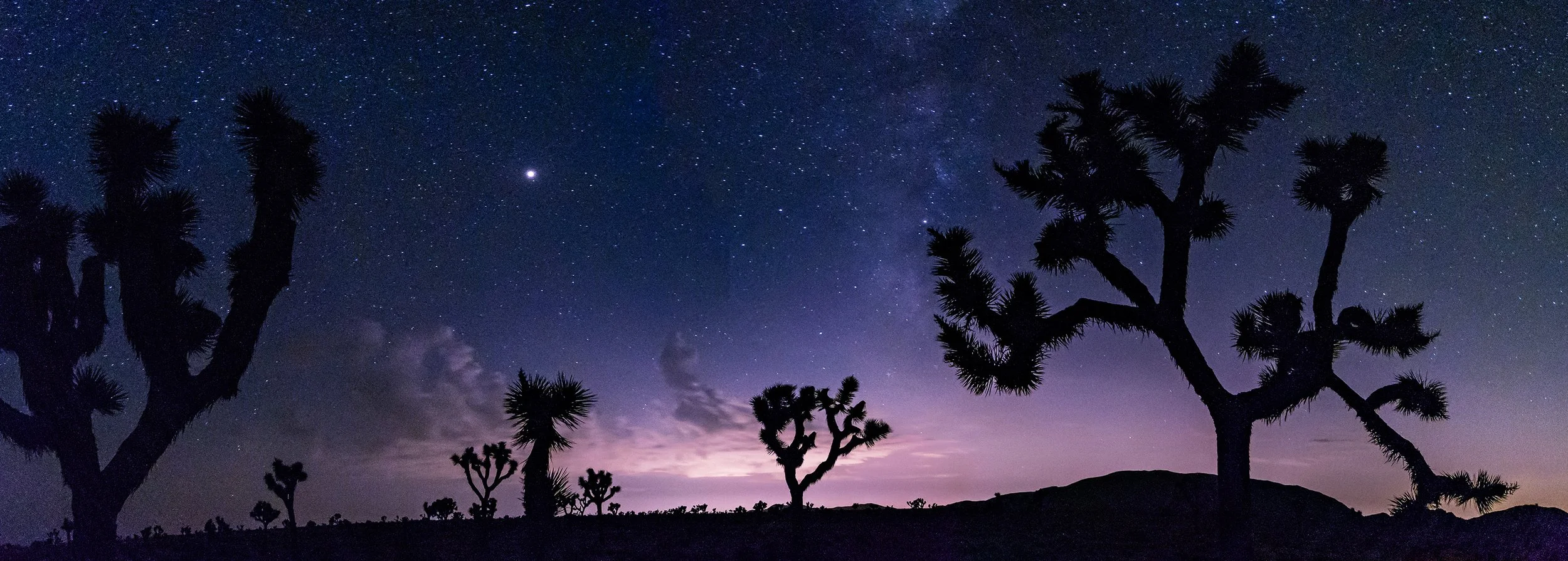 Joshua Tree, CA