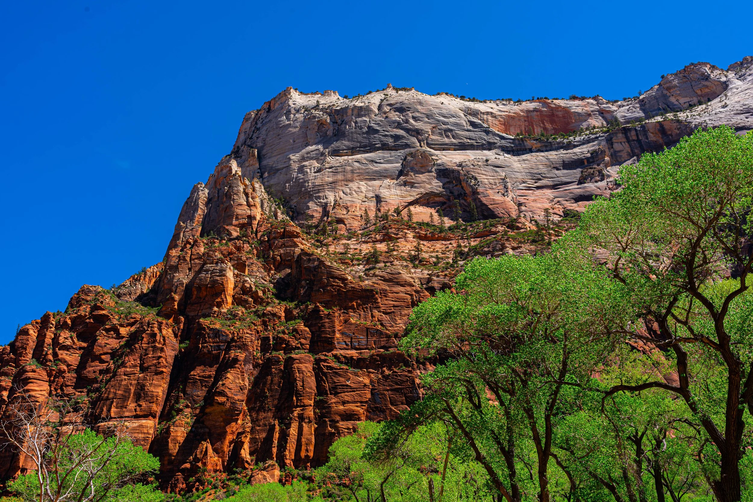 Zion National Park