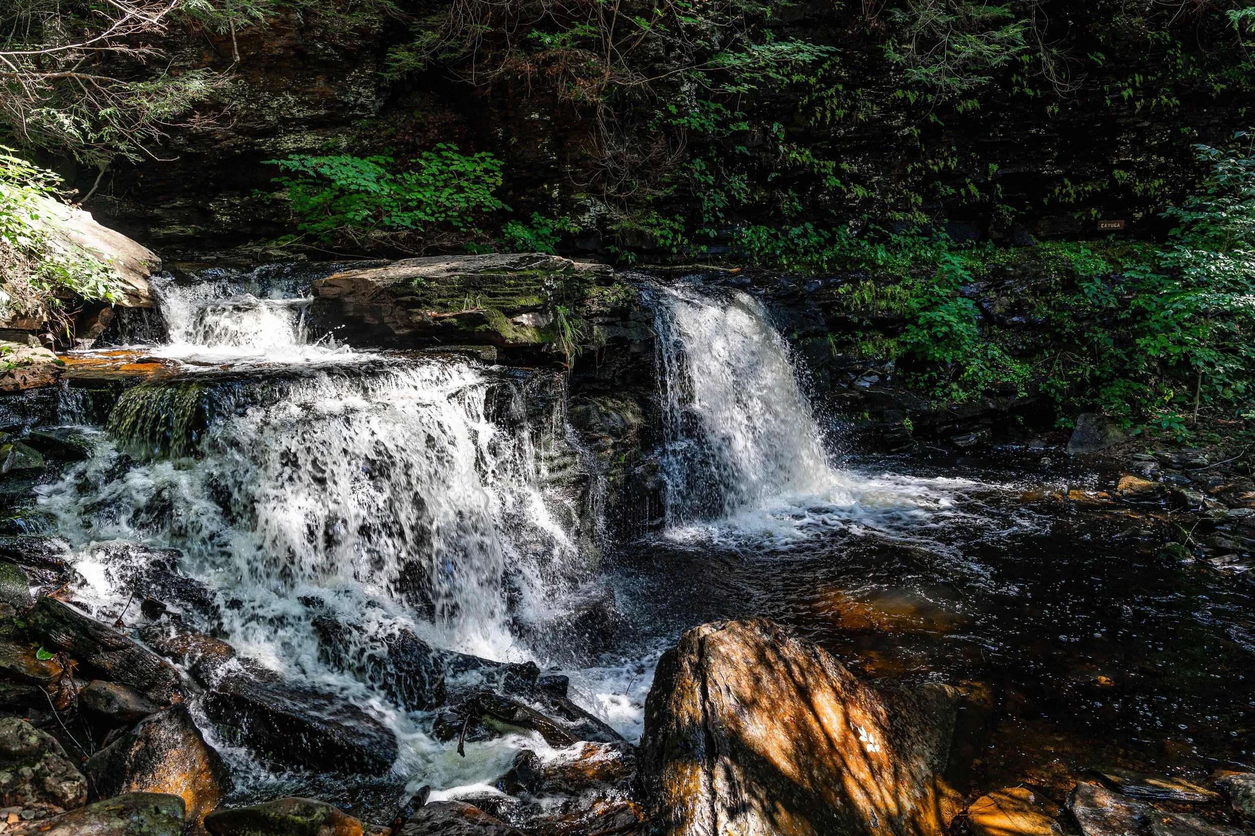 Ricketts Glen State Park
