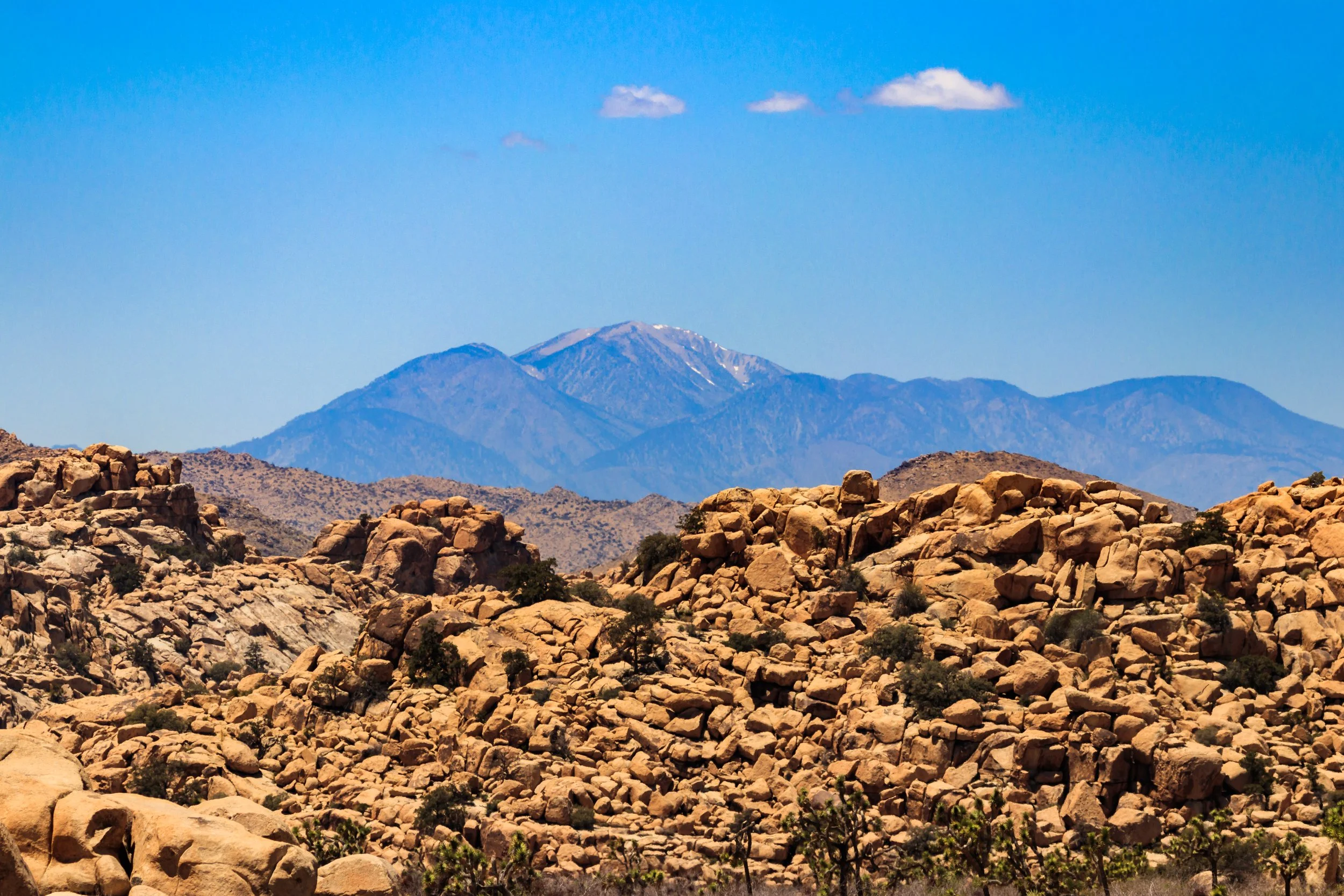 Joshua Tree National Park