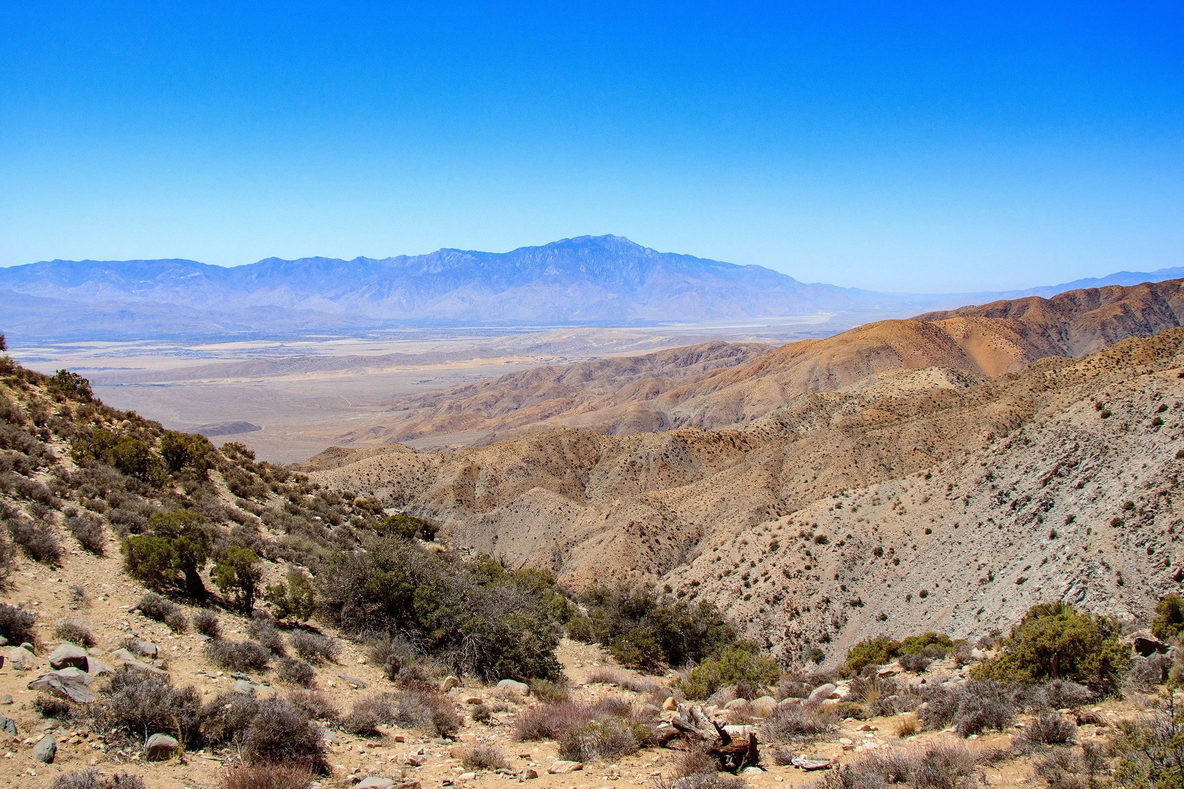 Joshua Tree National Park