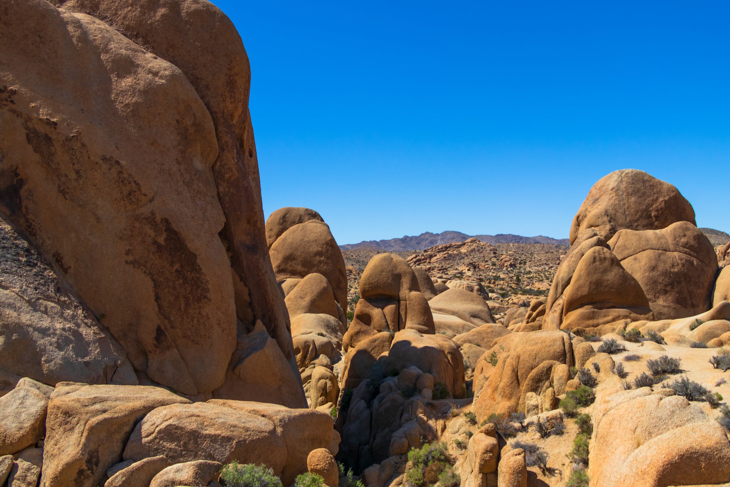 Joshua Tree National Park