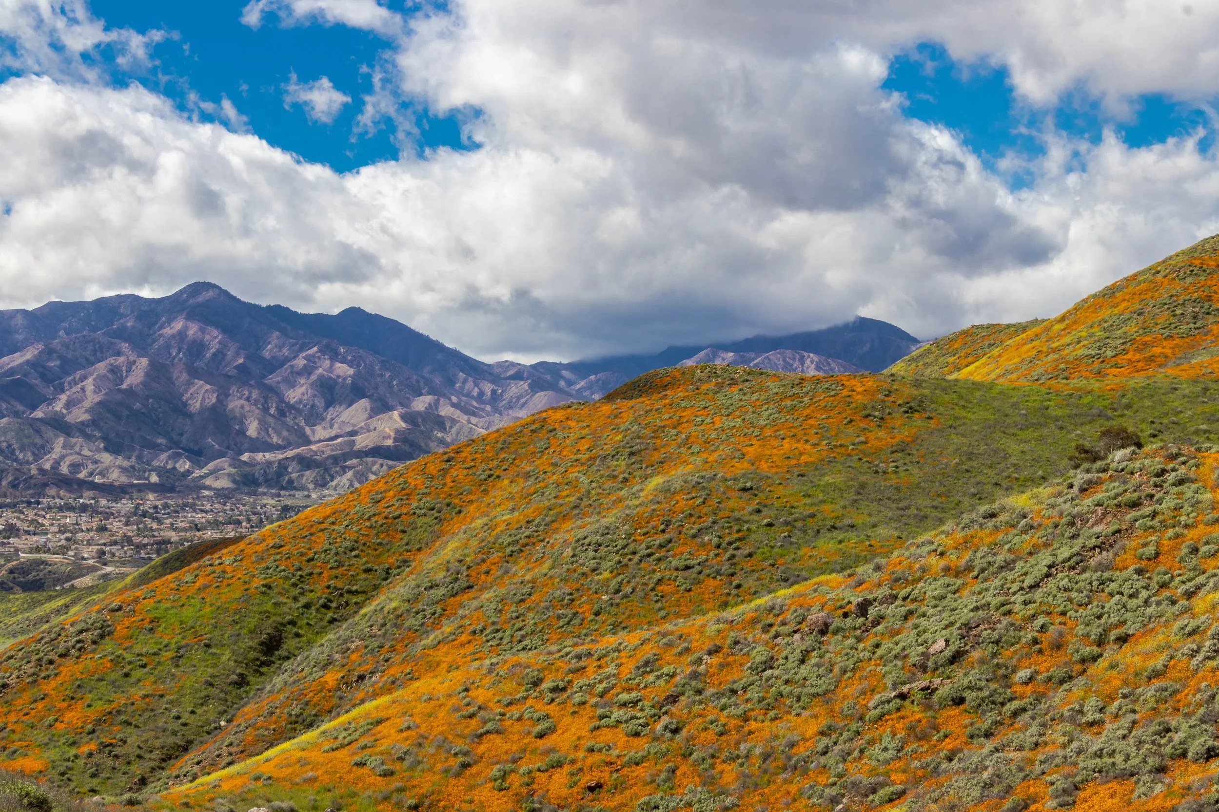 Lake Elsinore