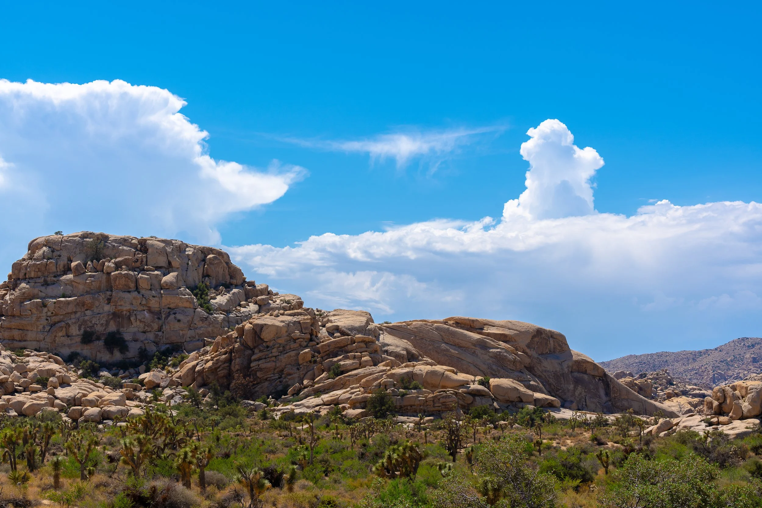 Joshua Tree National Park
