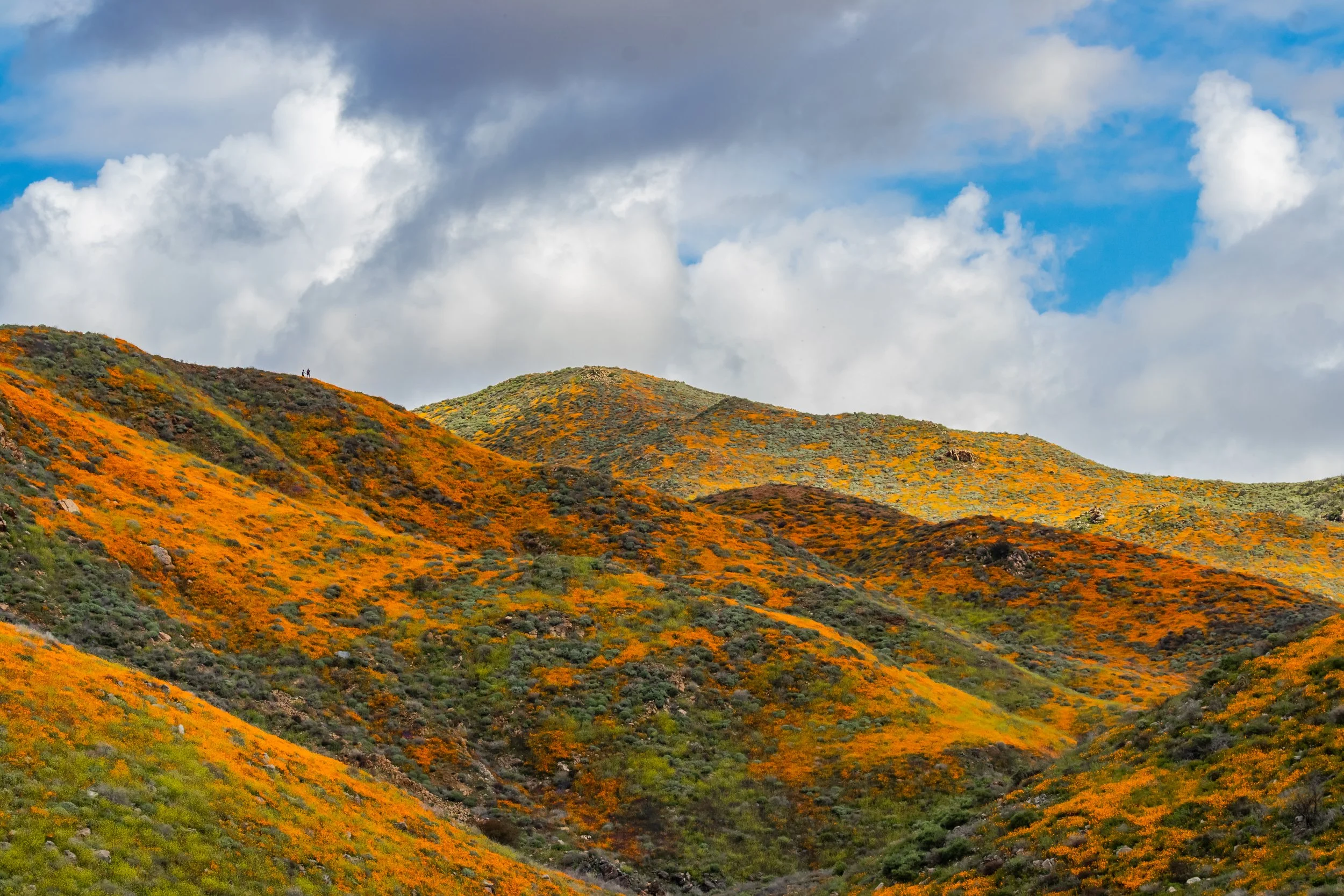 Lake Elsinore