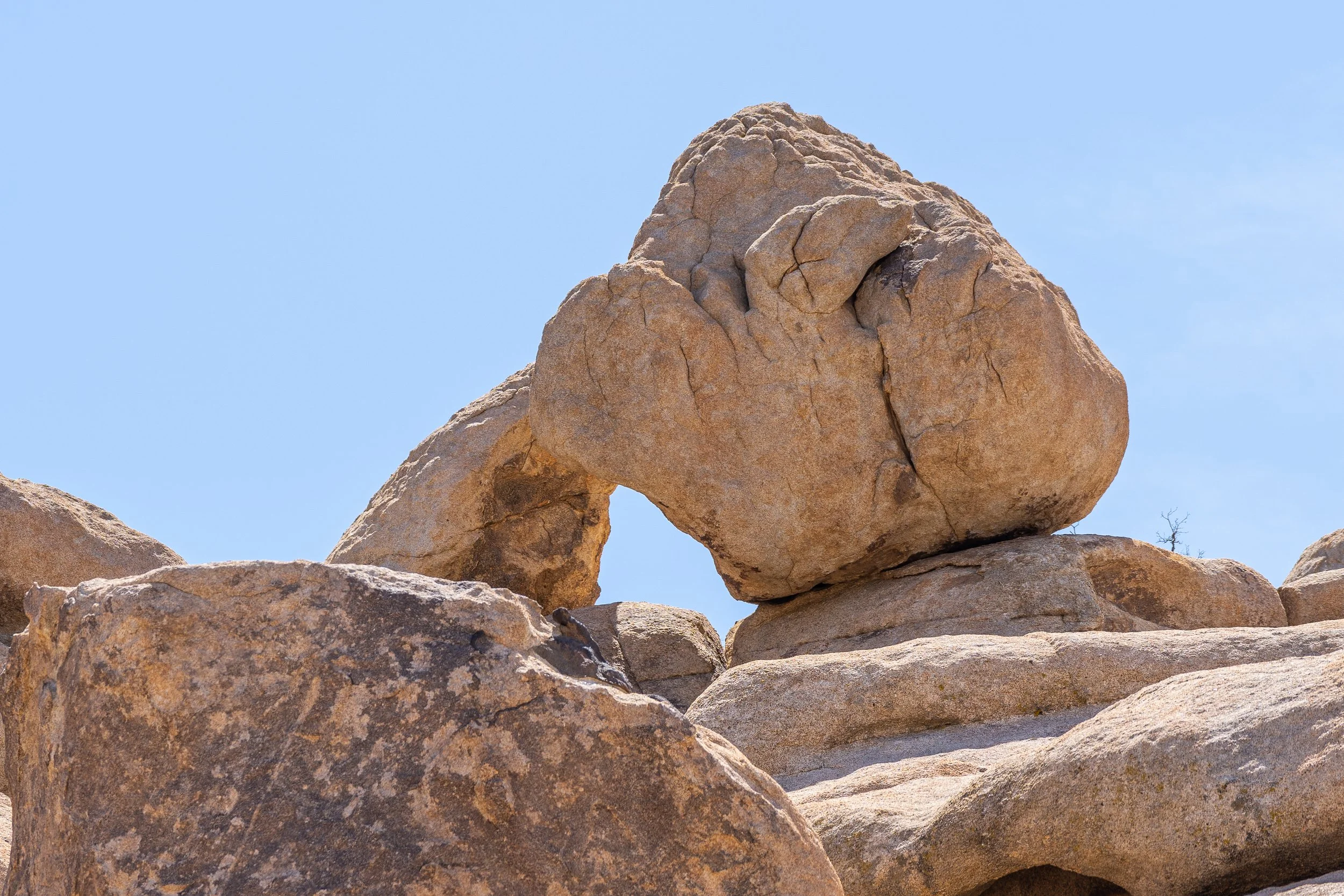 Joshua Tree National Park