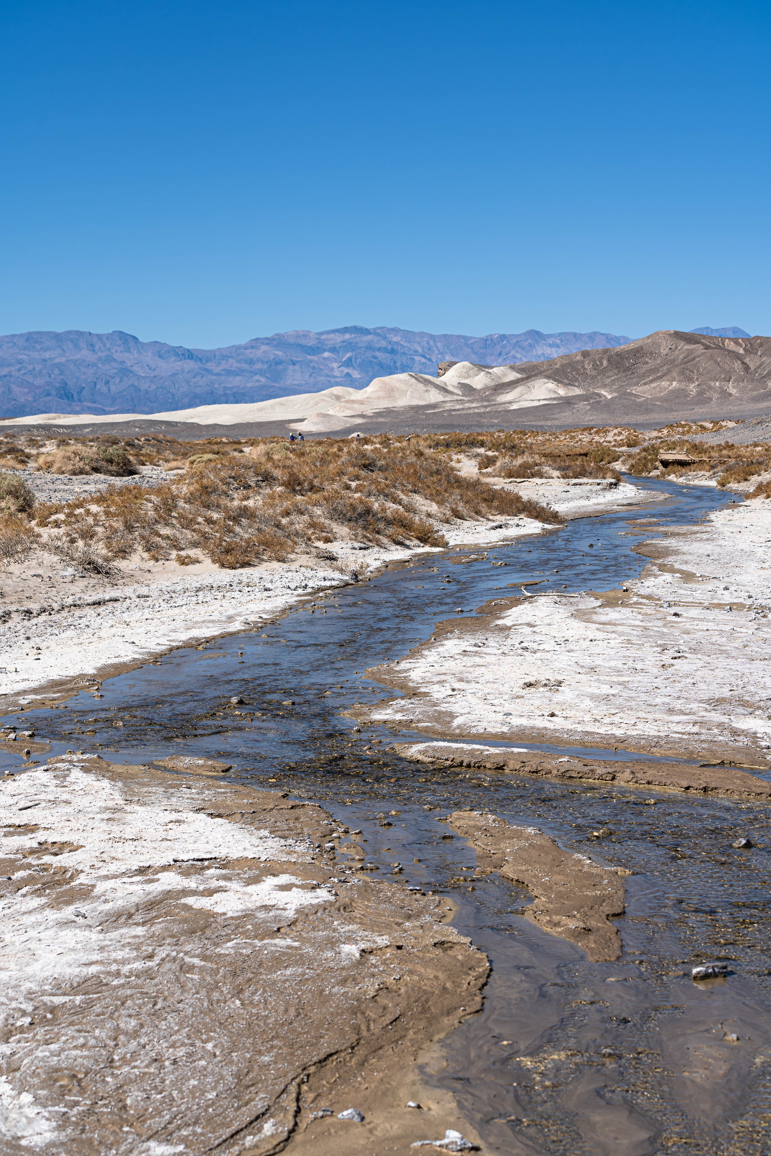 Ash Meadows National Wildlife Refuge