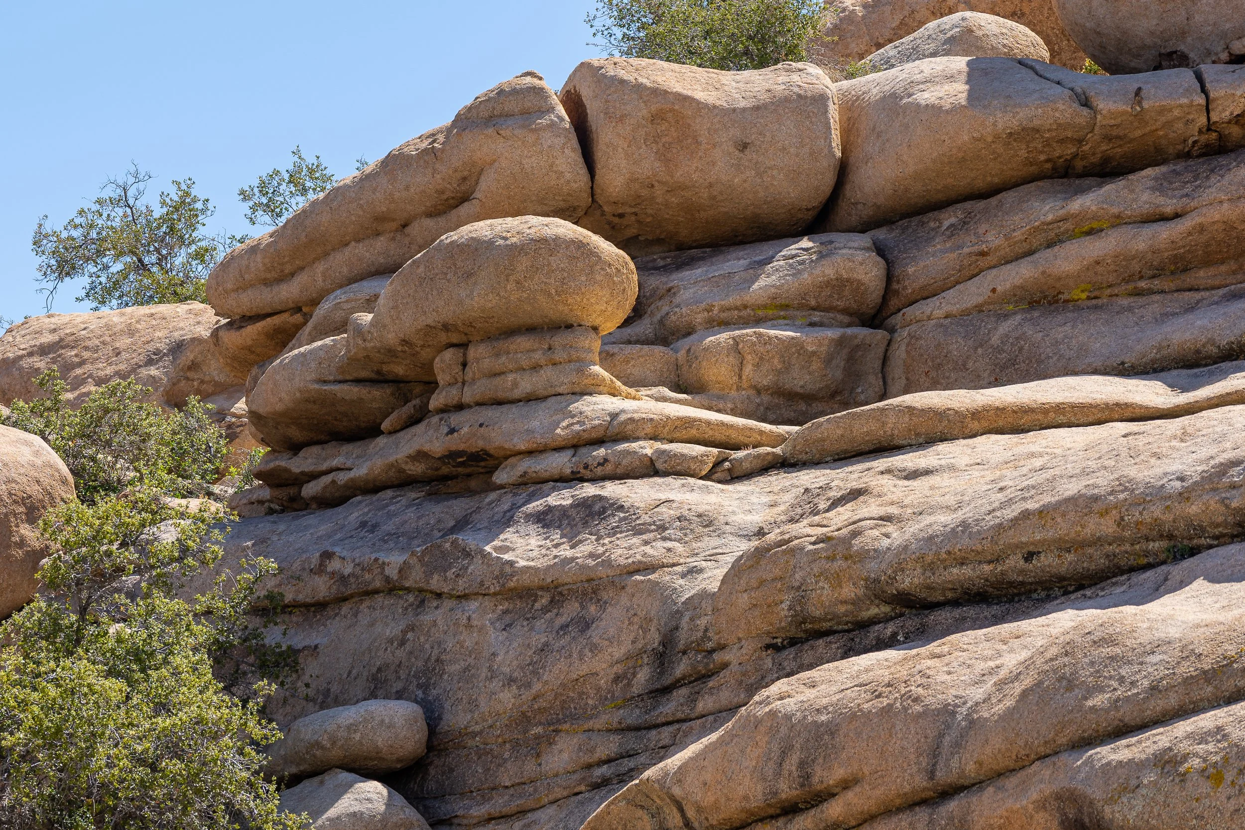 Joshua Tree National Park