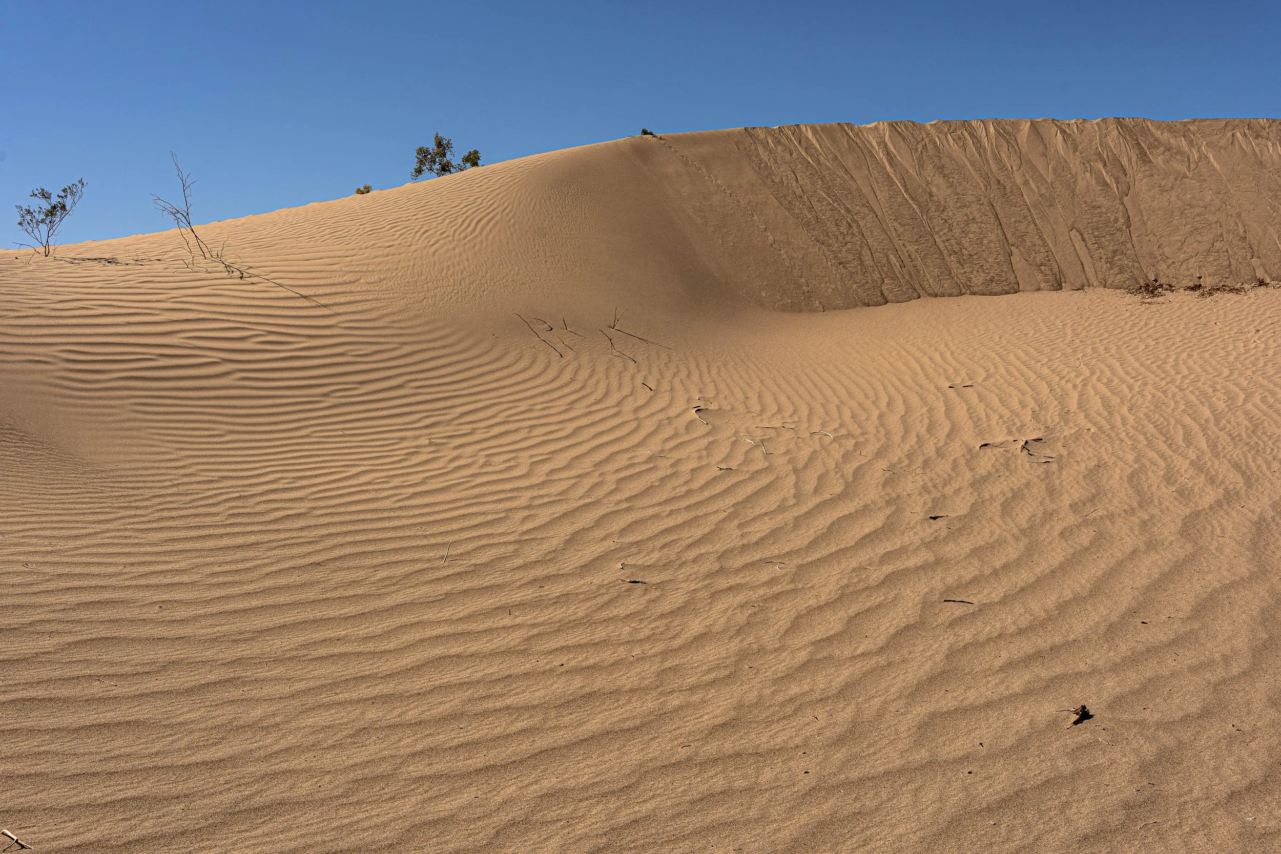 Death Valley National Park