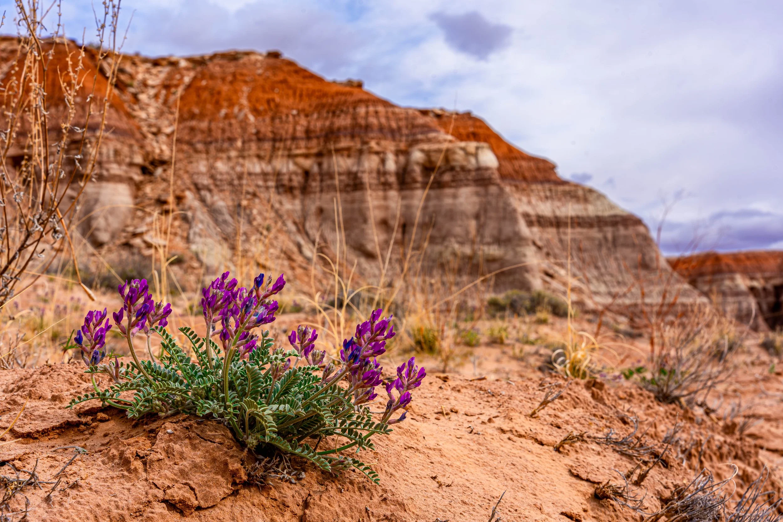 Grand Staircase-Escalante National Monument