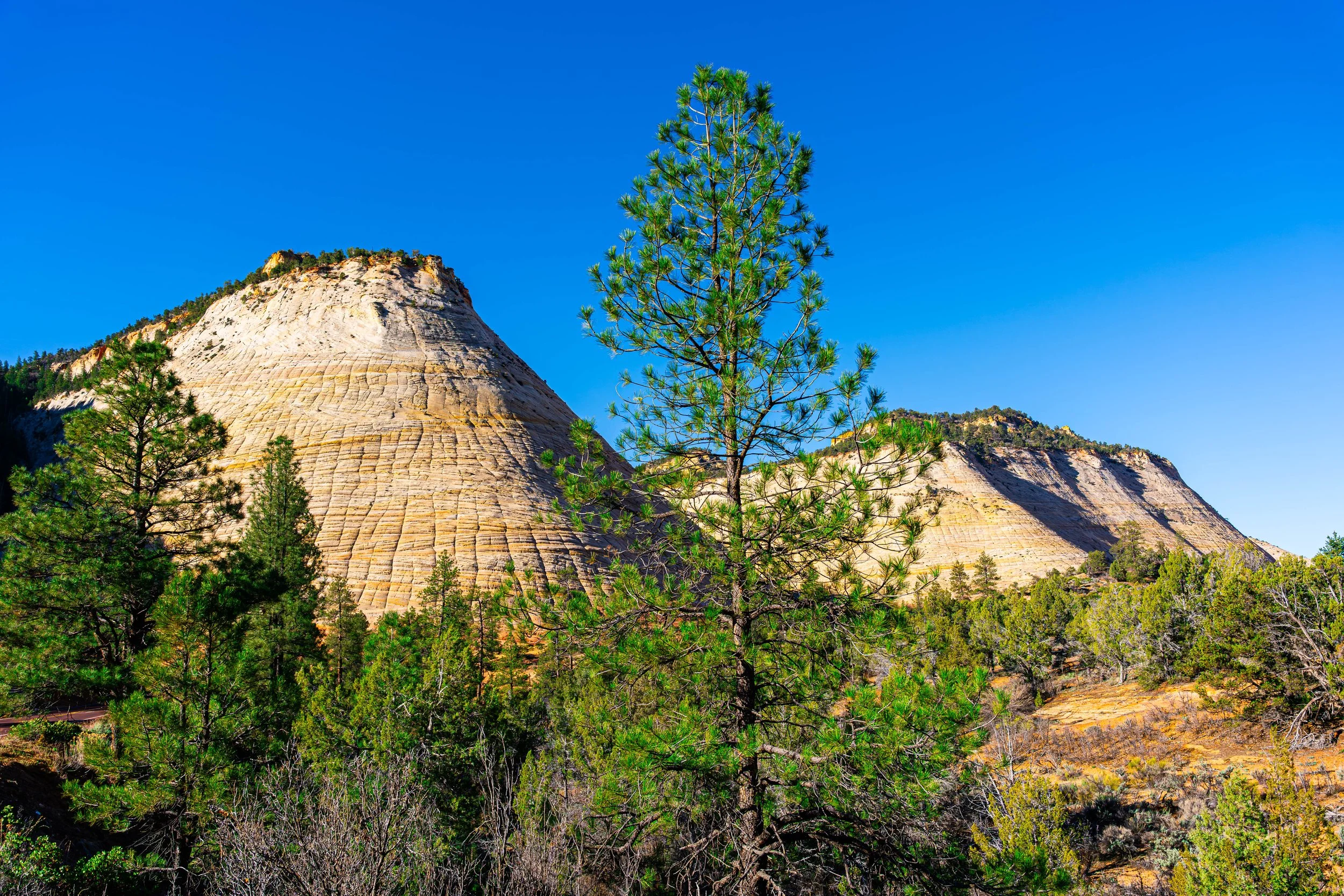 Zion National Park