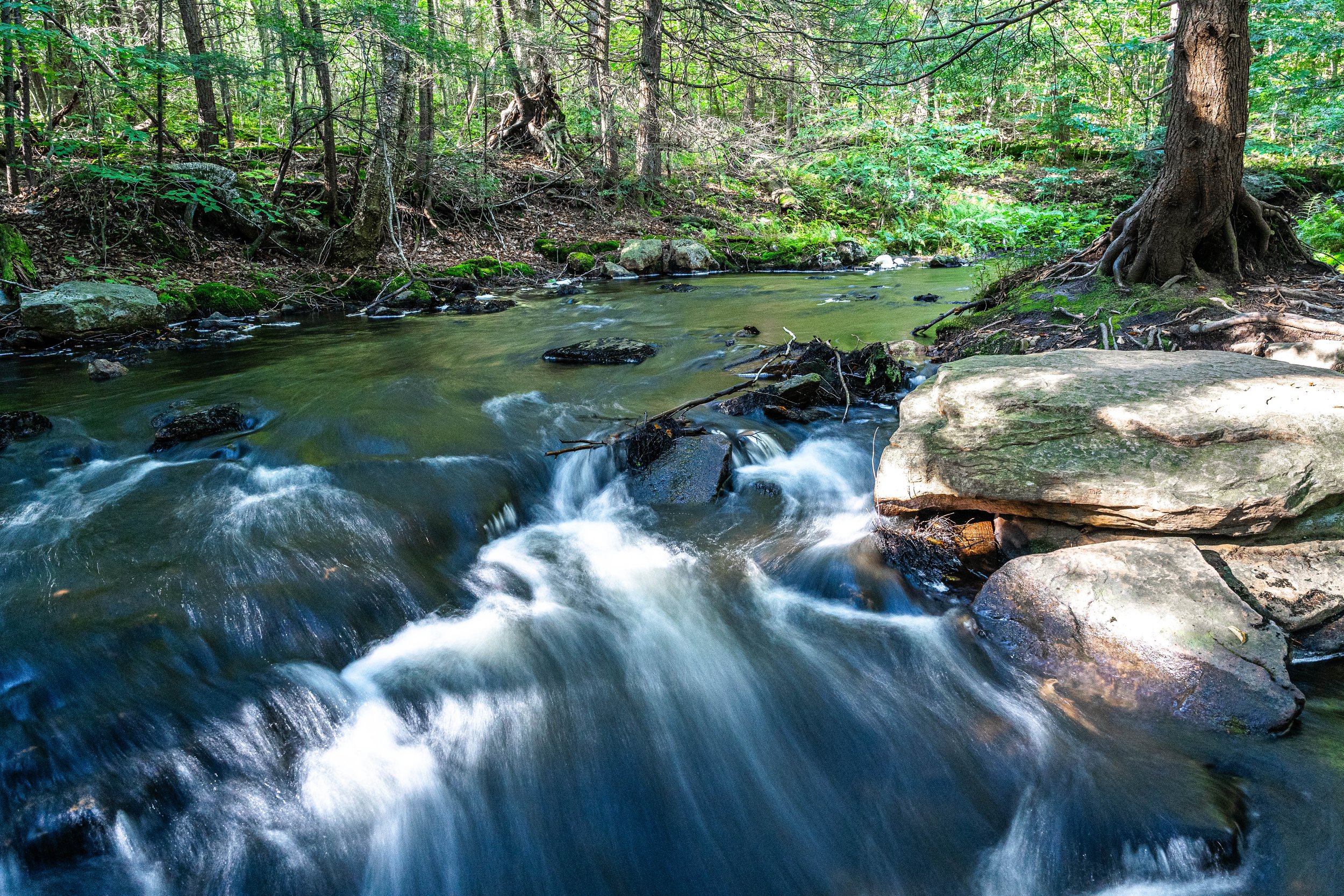 Ricketts Glen Stare Park, PA