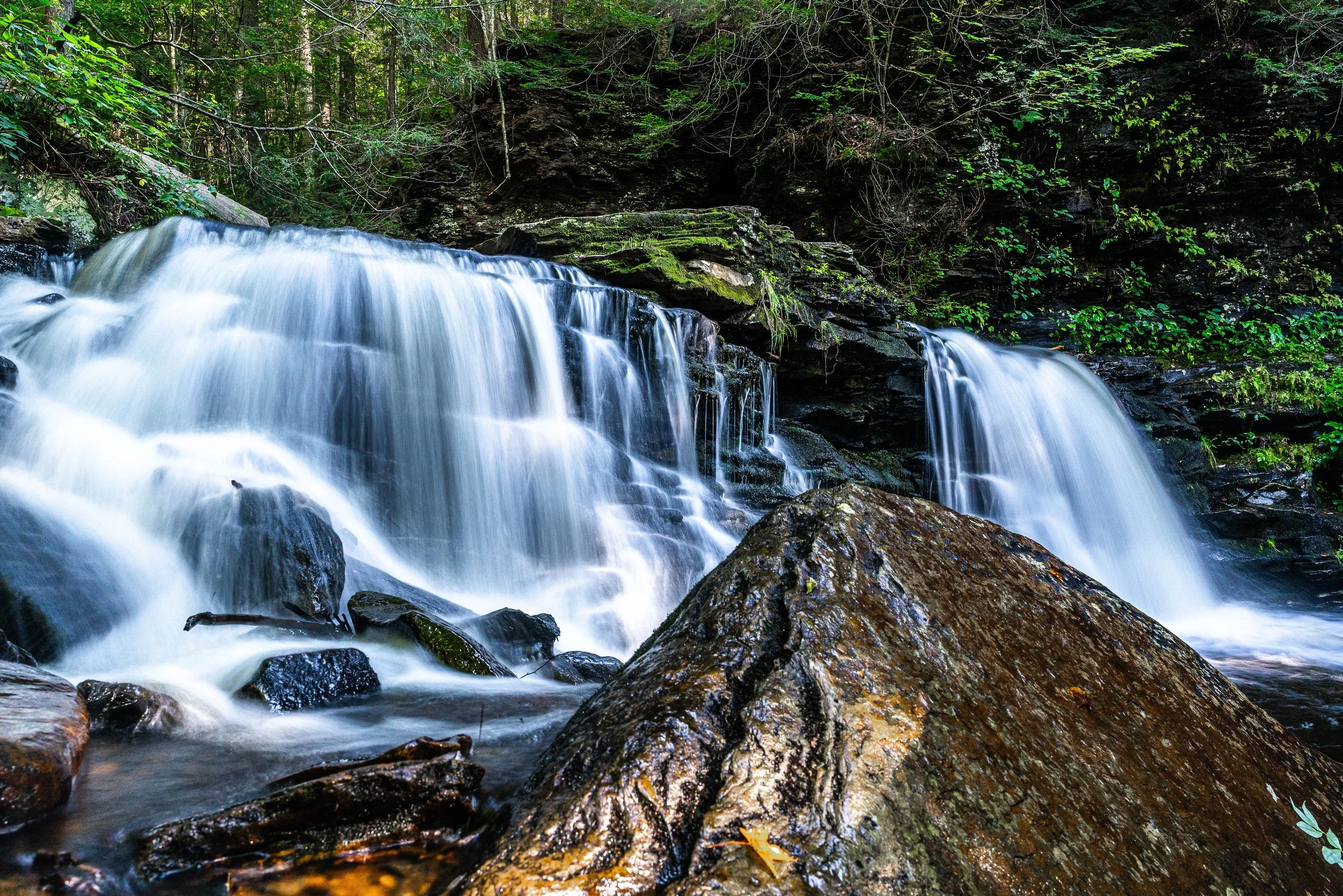 Ricketts Glen State Park, PA