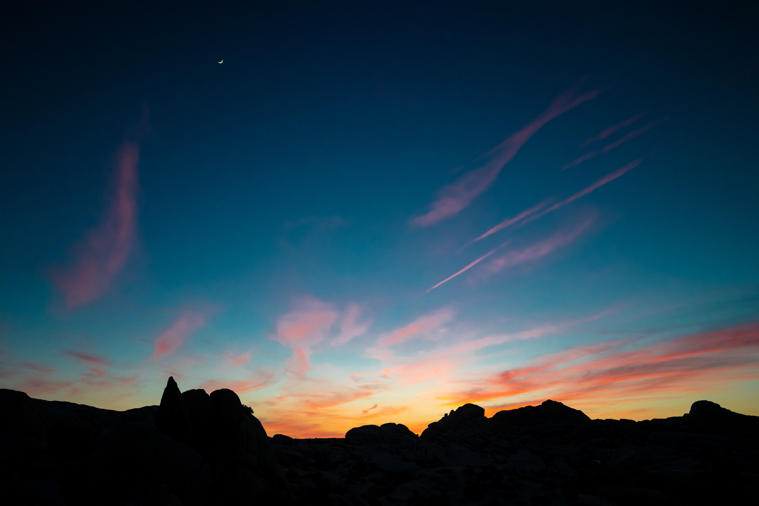 Joshua Tree, CA