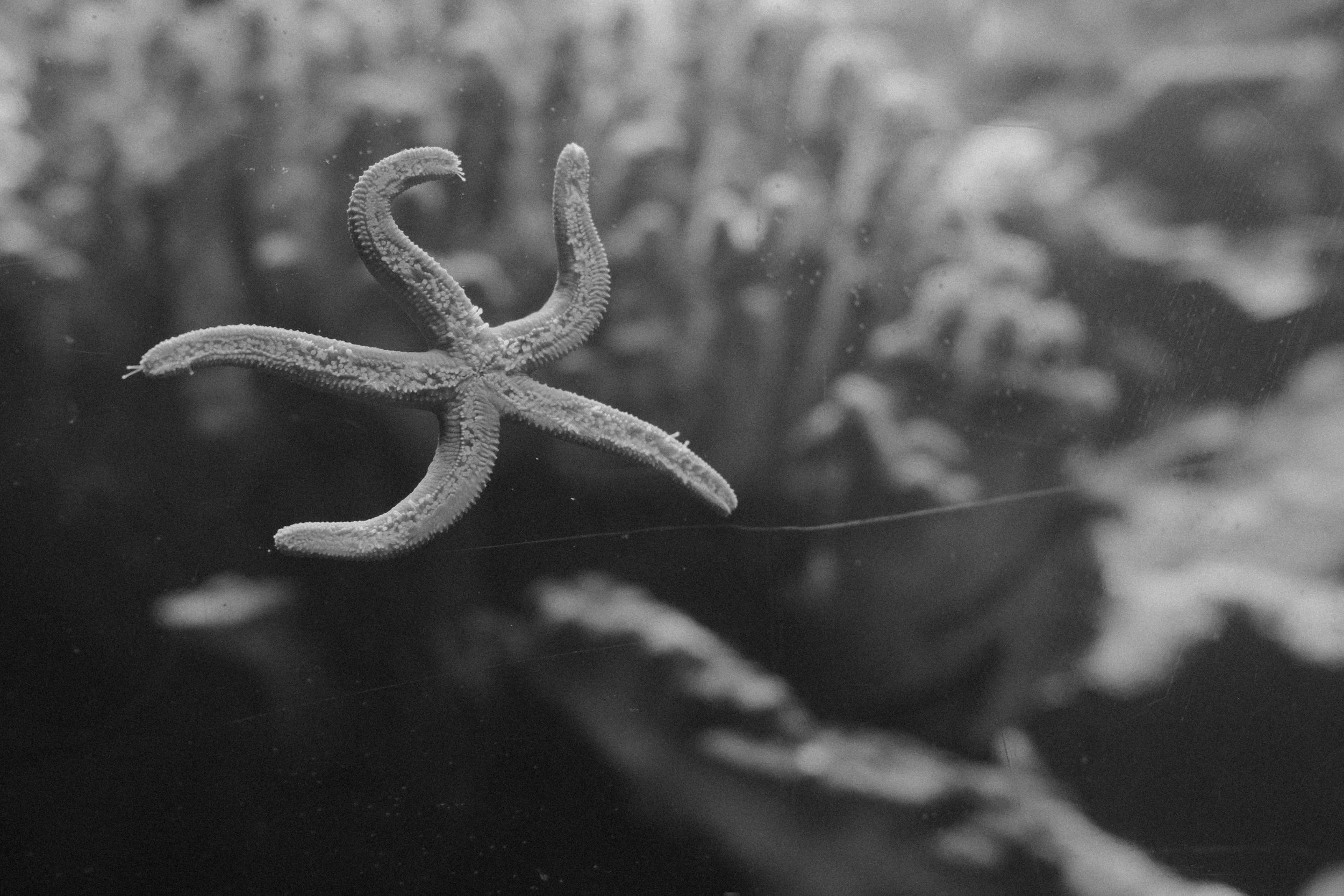 Long Beach, CA; November 2025