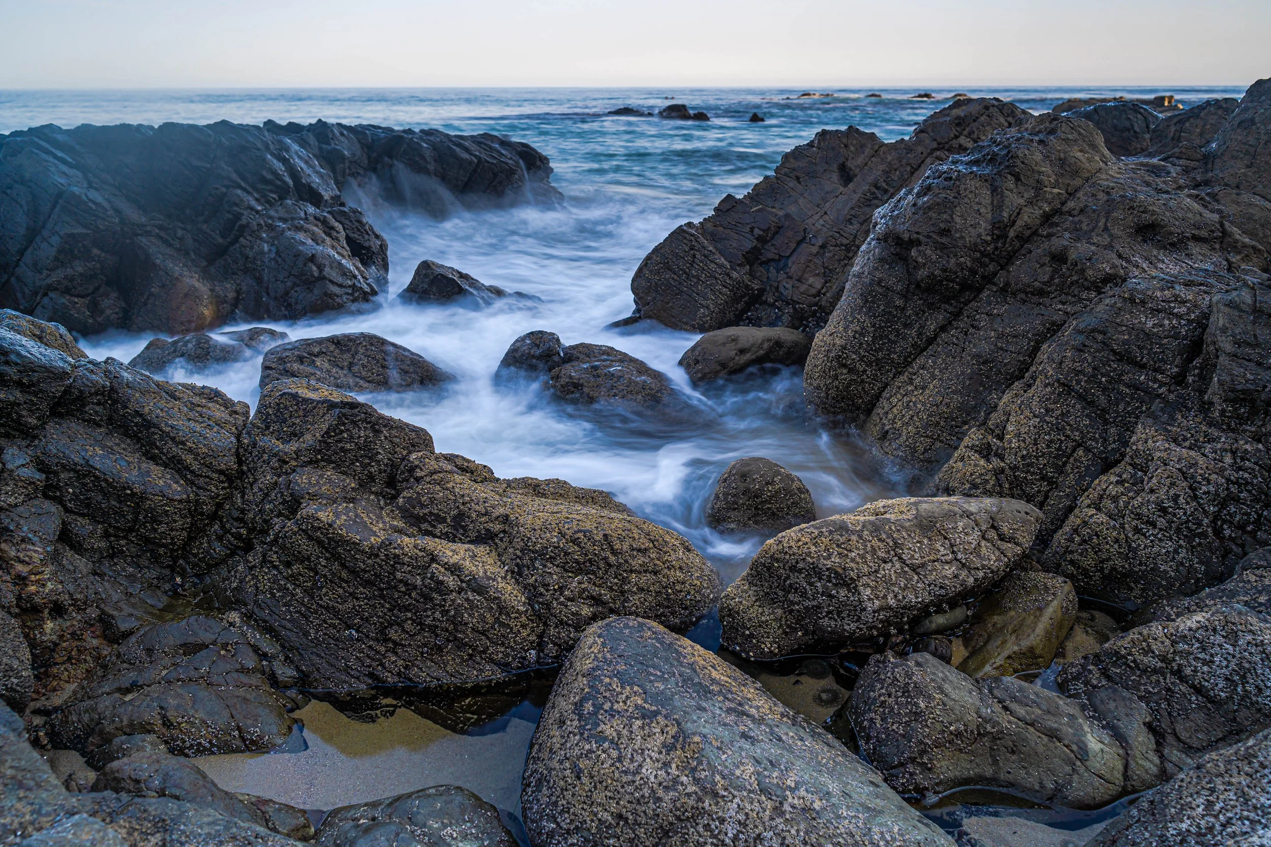 Laguna Beach, CA; June 2021