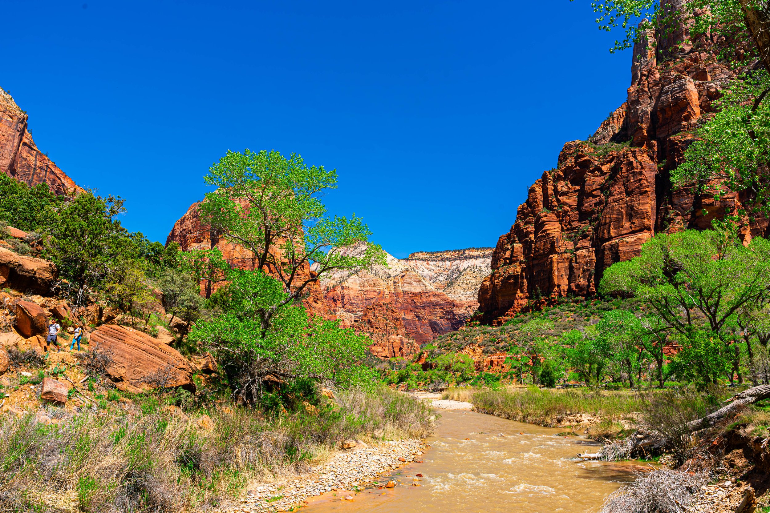 Zion National Park, UT; April 2024