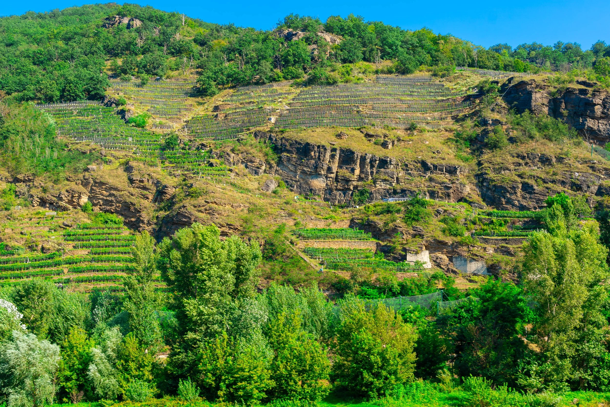 Wachau Vallry, Austria; August 2024