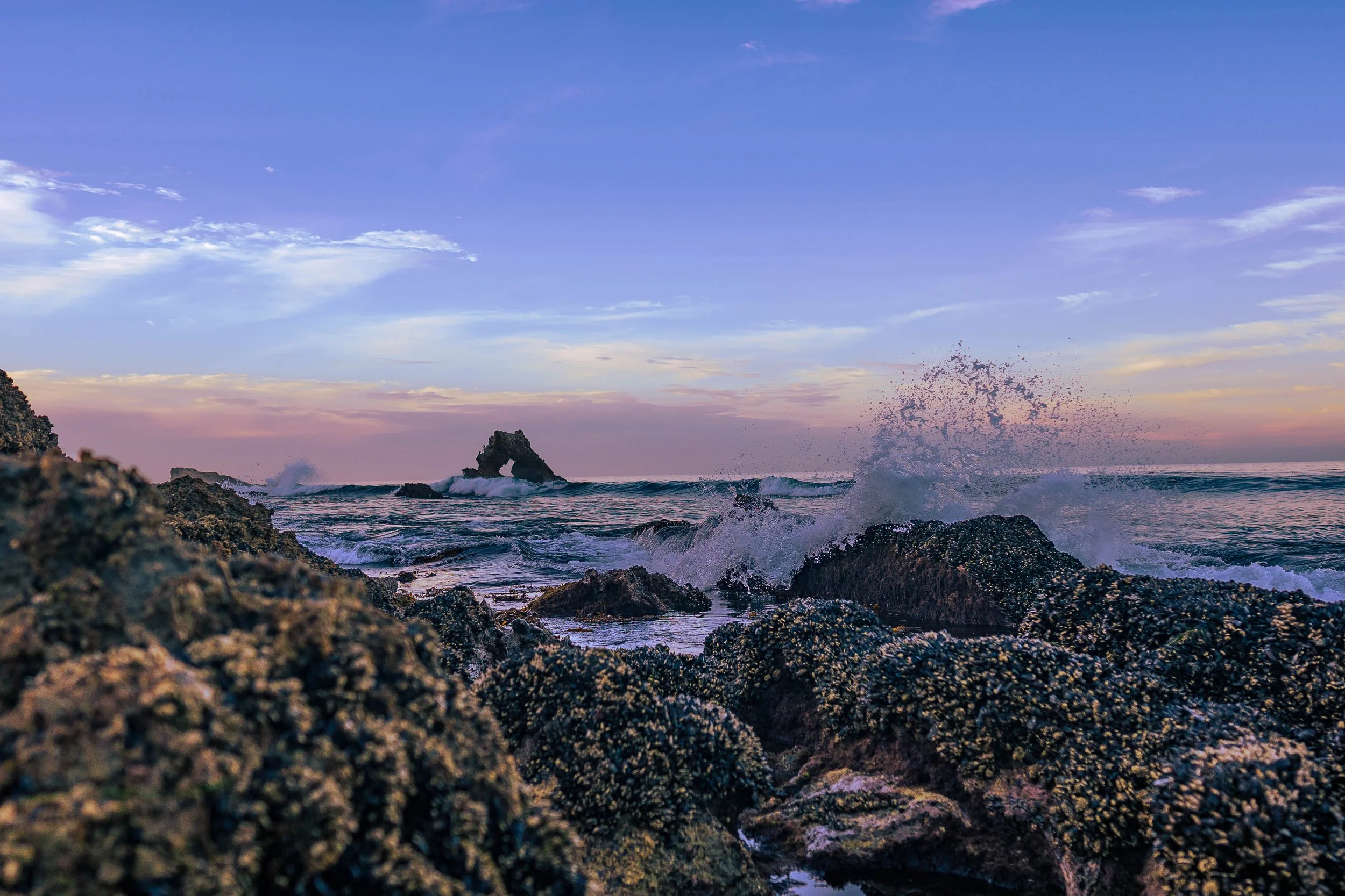 Corona del Mar, CA; August 2023
