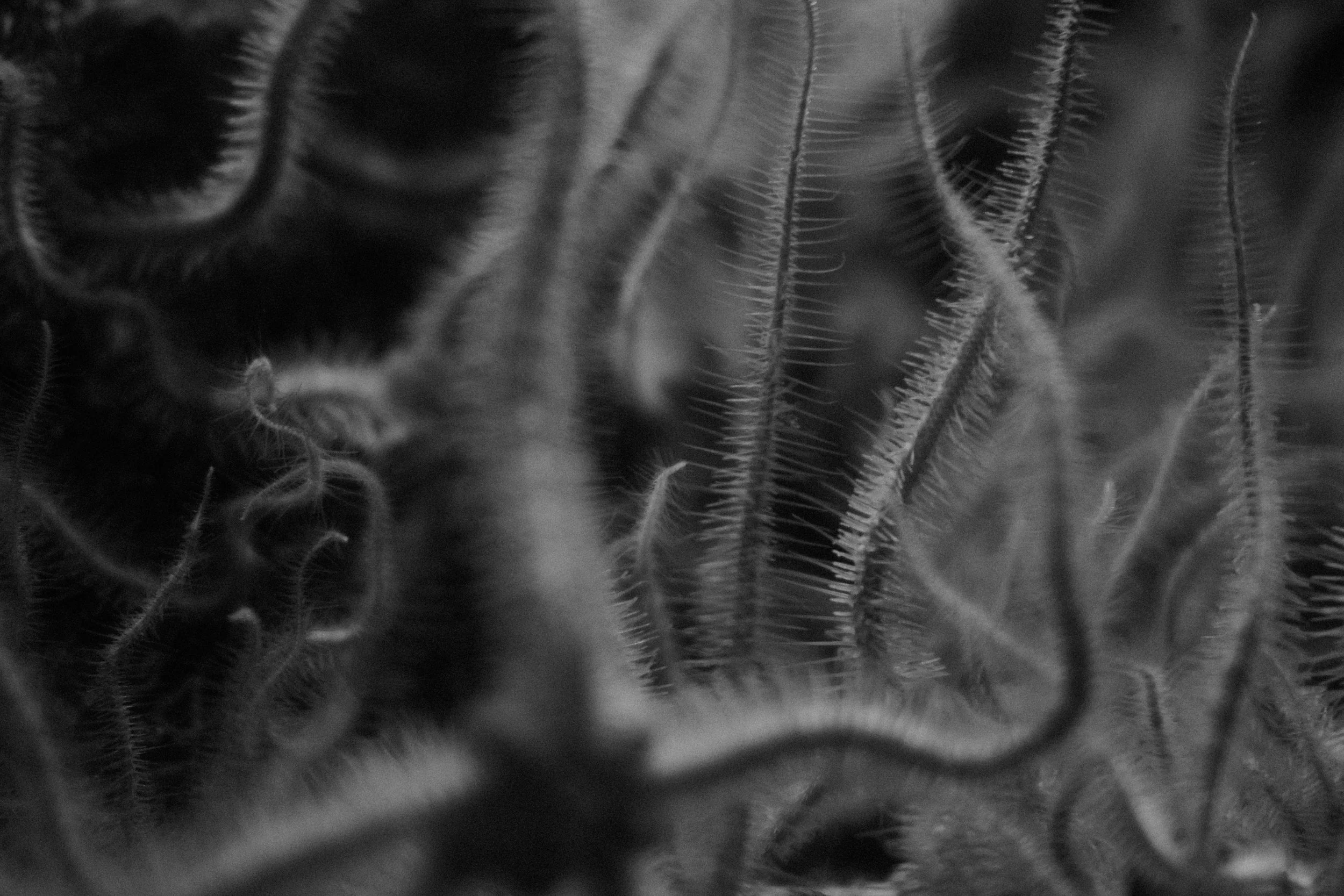 Long Beach, CA; November 2025