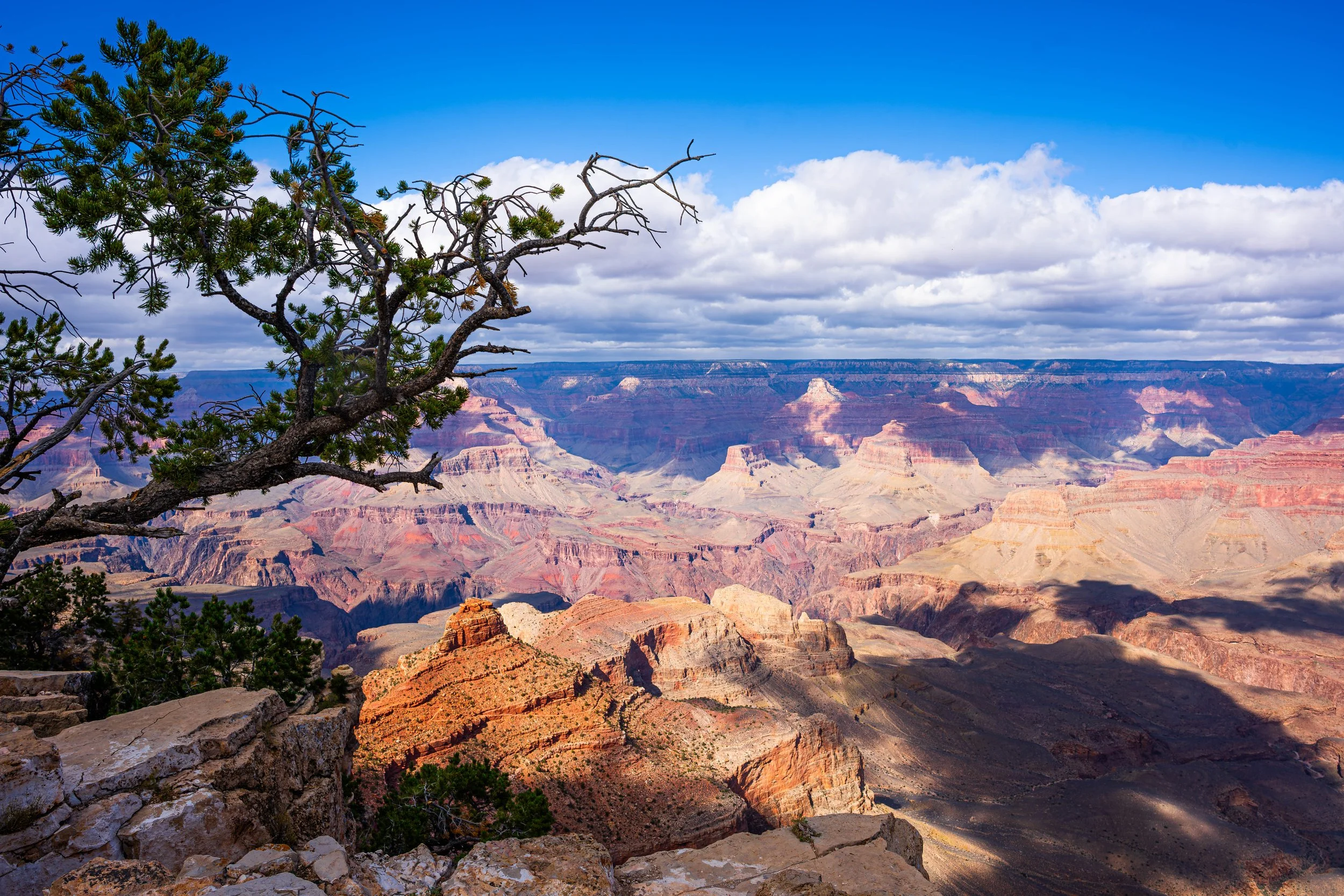 Grand Canyon, AZ; October 2024