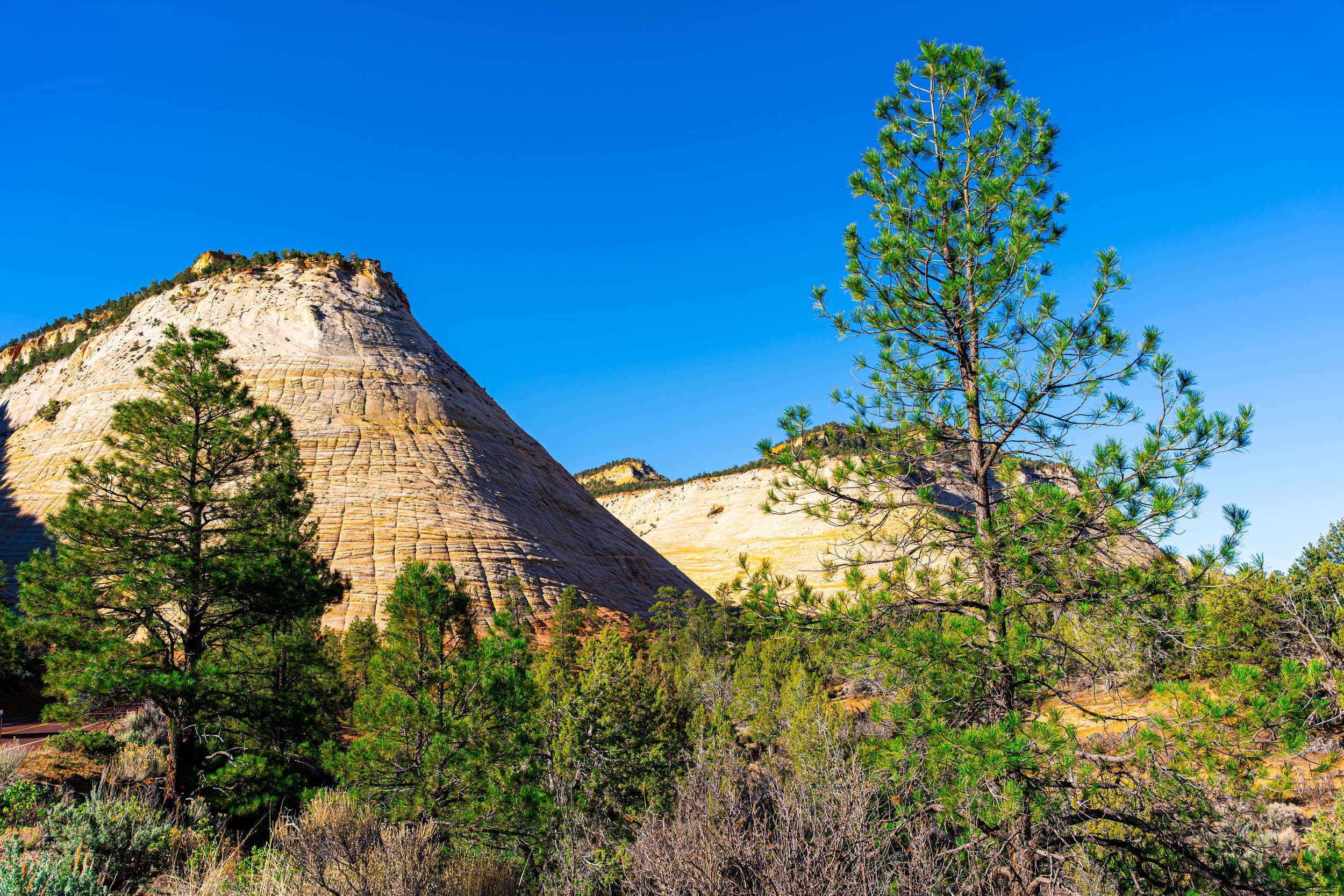 Zion National Park, UT; April 2024
