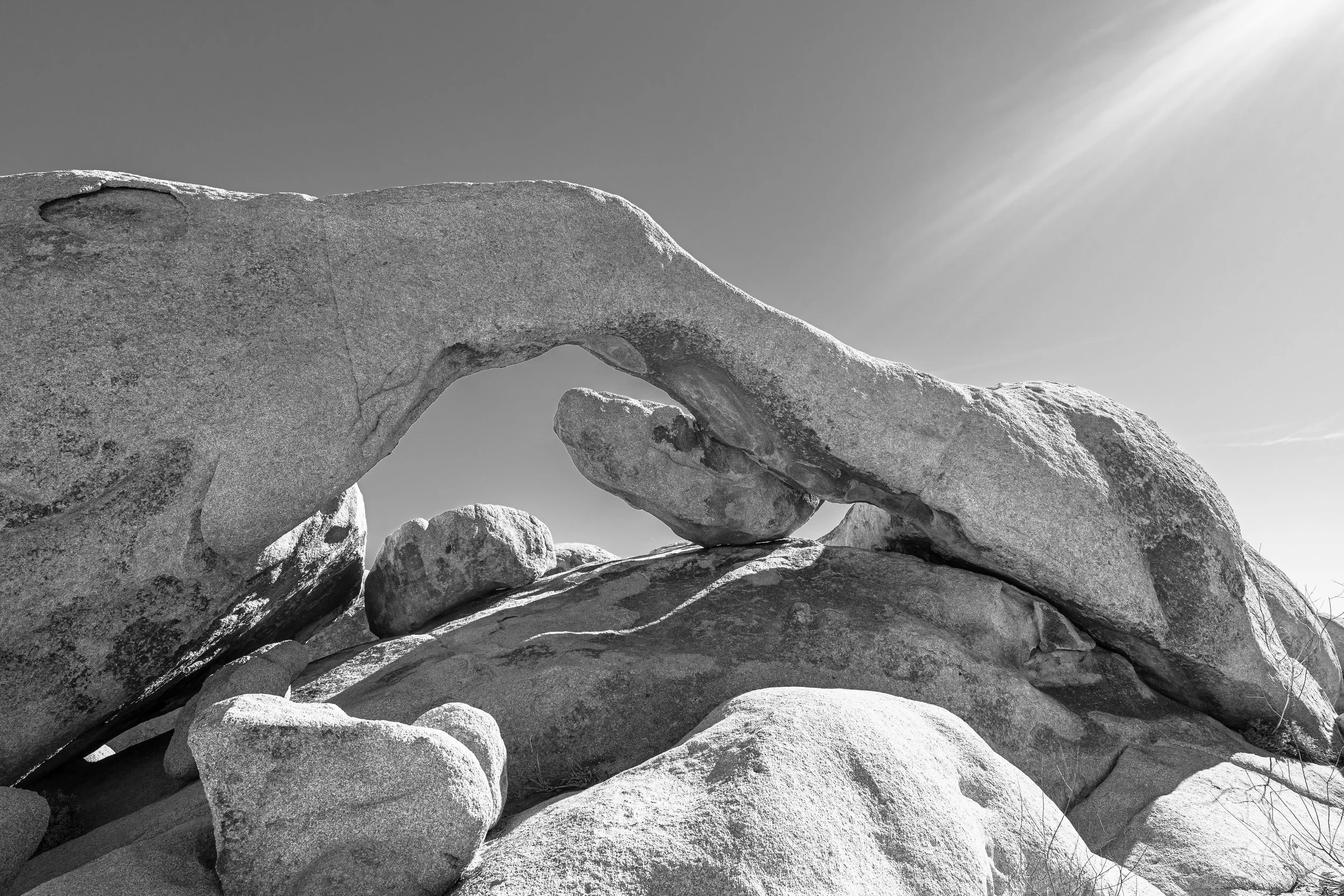 Joshua Tree, CA: February 2020