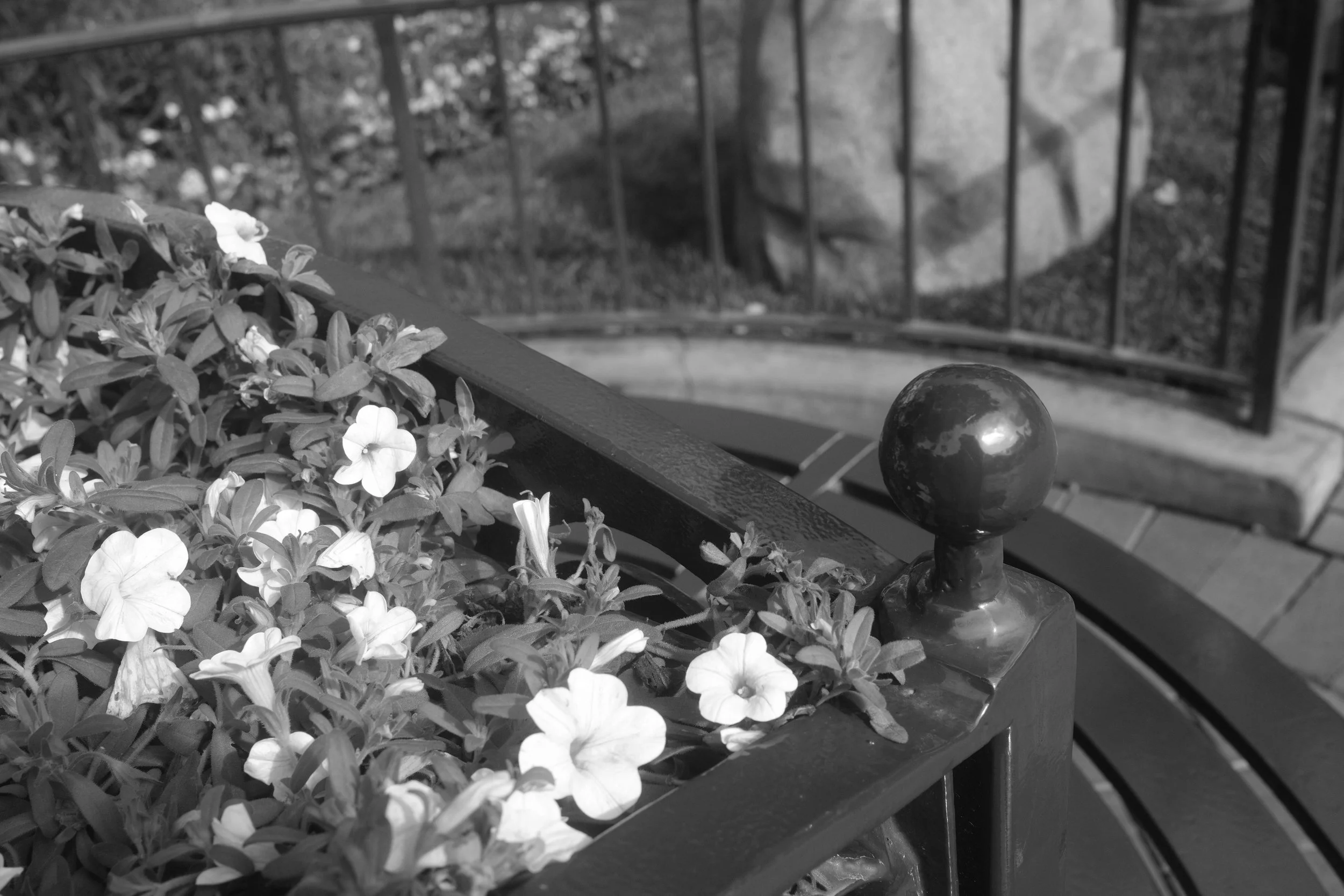 Anaheim, CA; November 2025