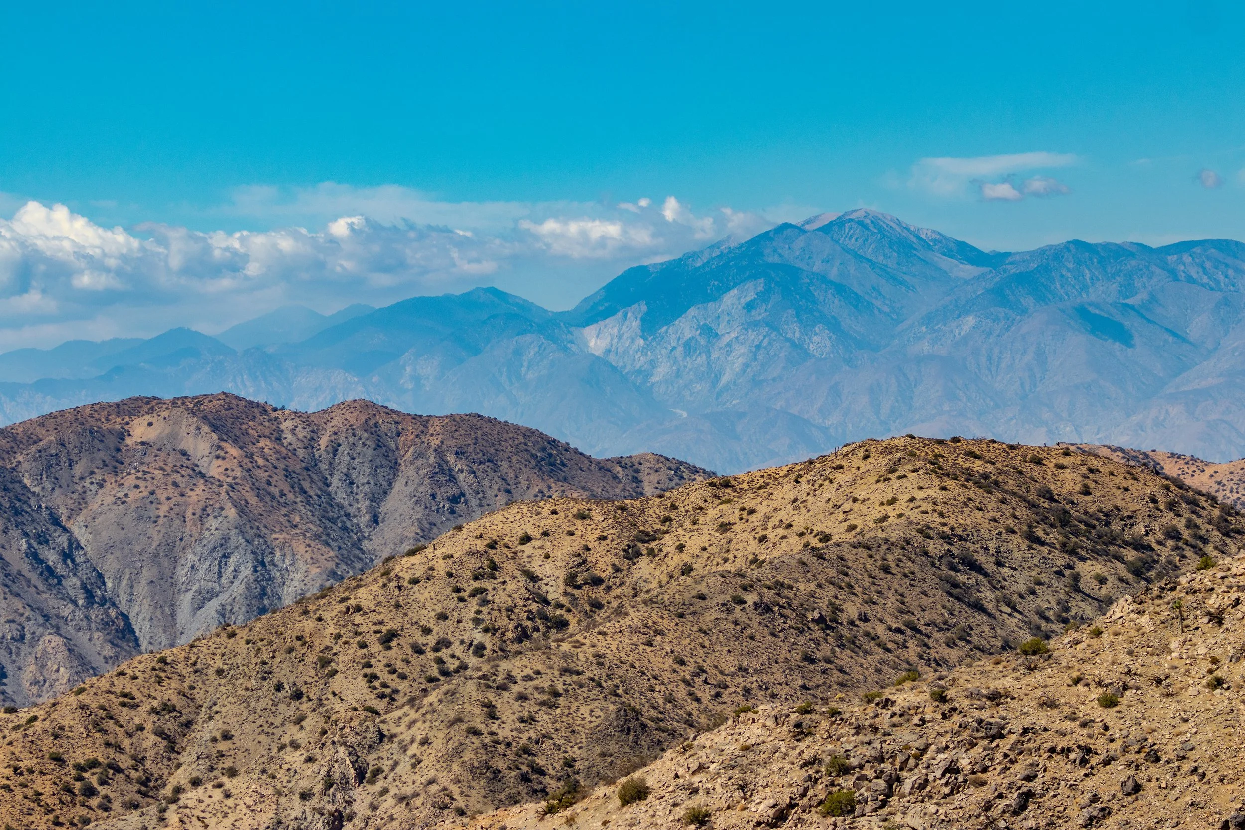 Joshua Tree, CA; August 2018