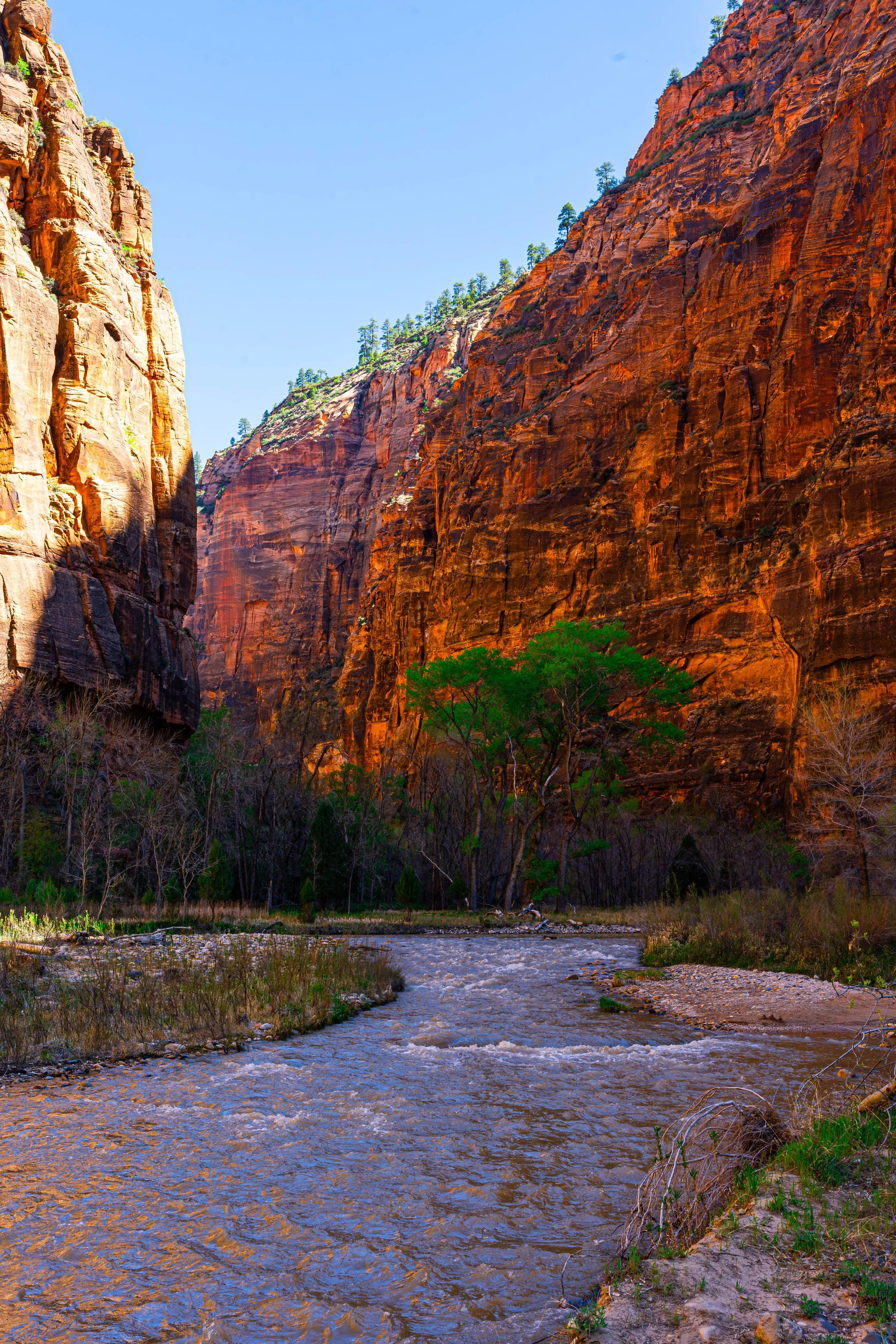 Zion National Park, UT; April 2024